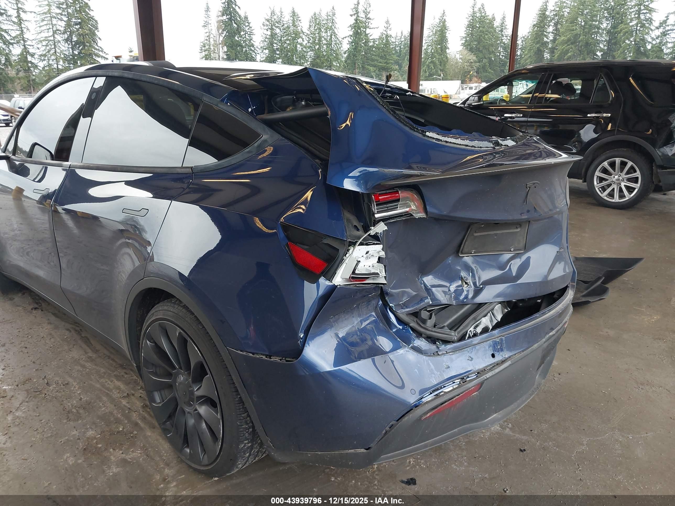 TESLA MODEL image 6