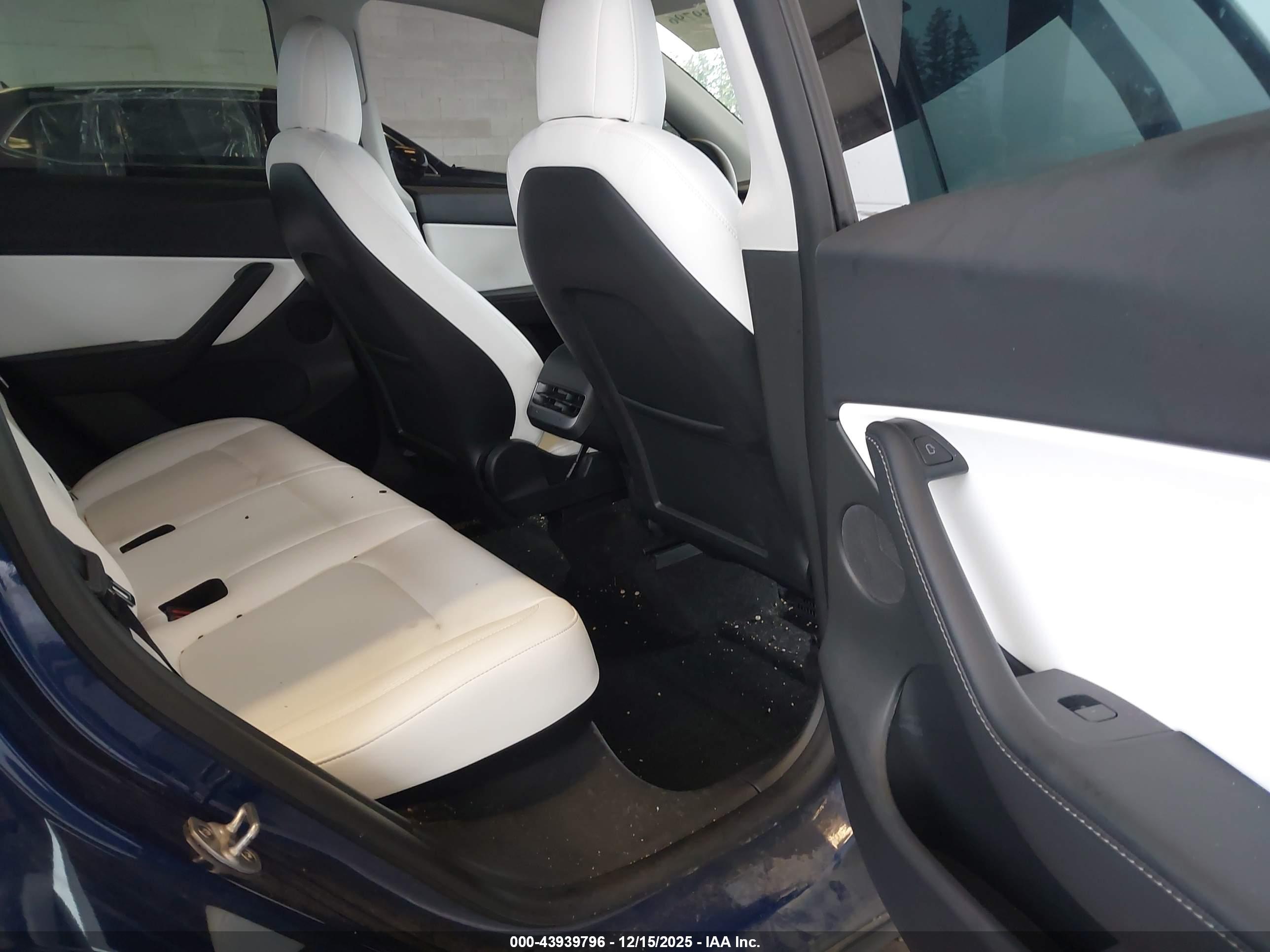 TESLA MODEL image 8