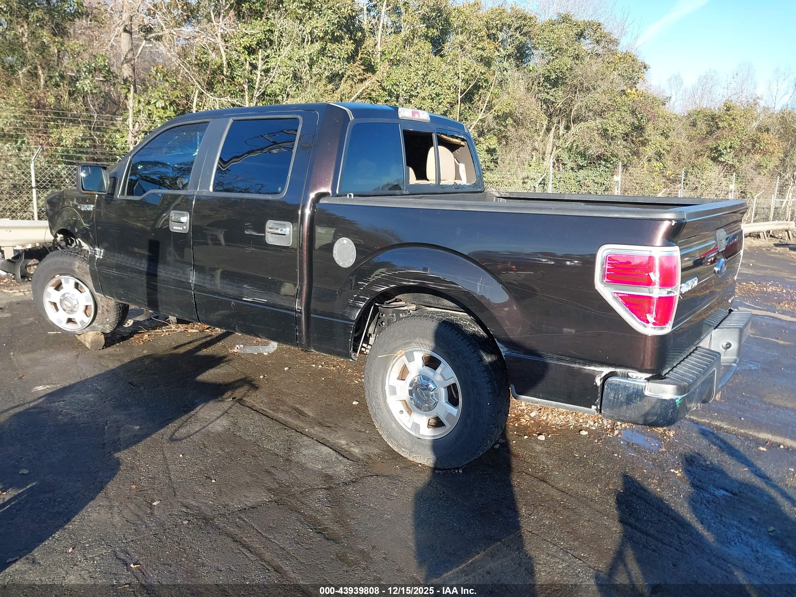 FORD F-150 image 3