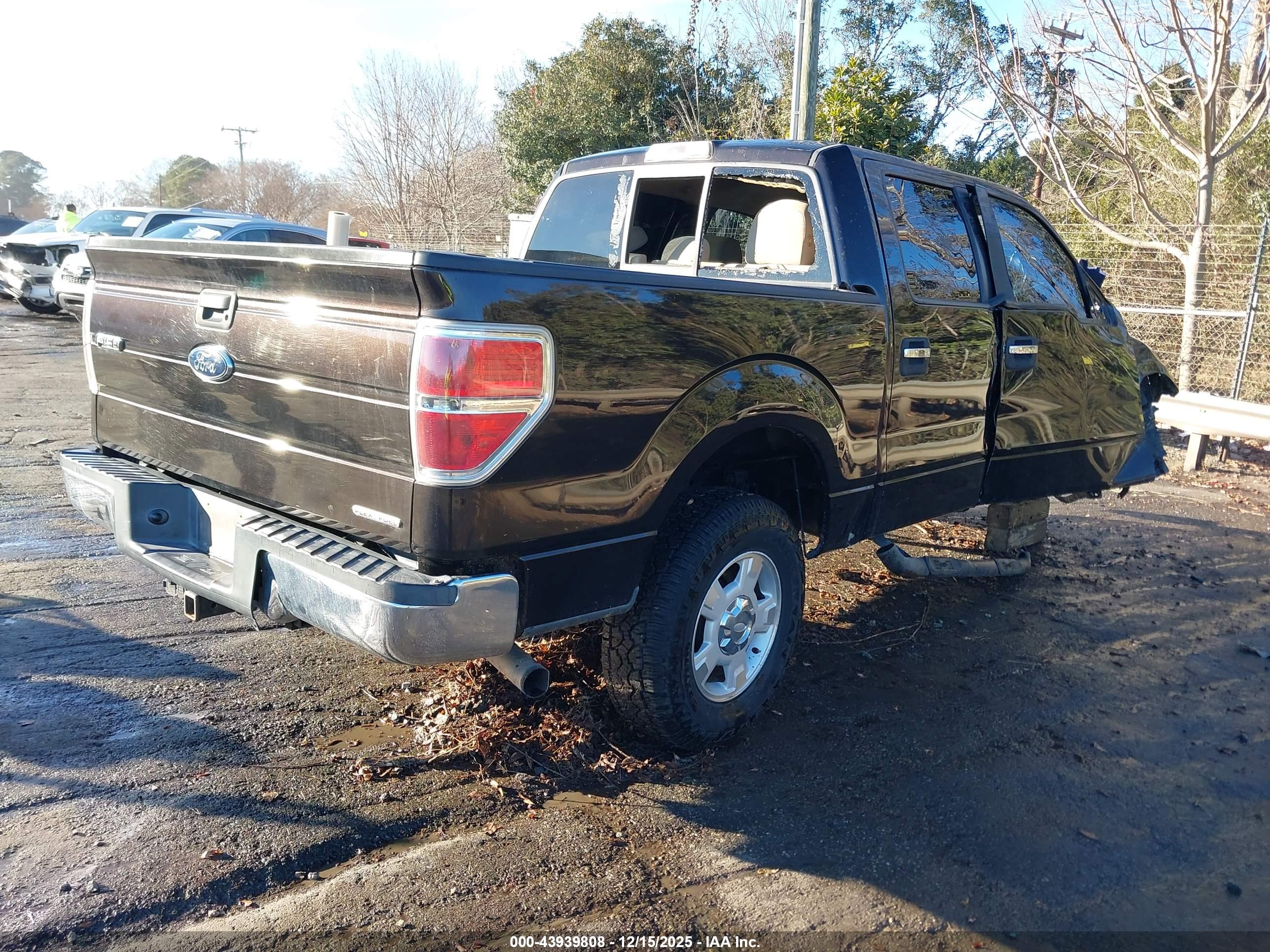 FORD F-150 image 4