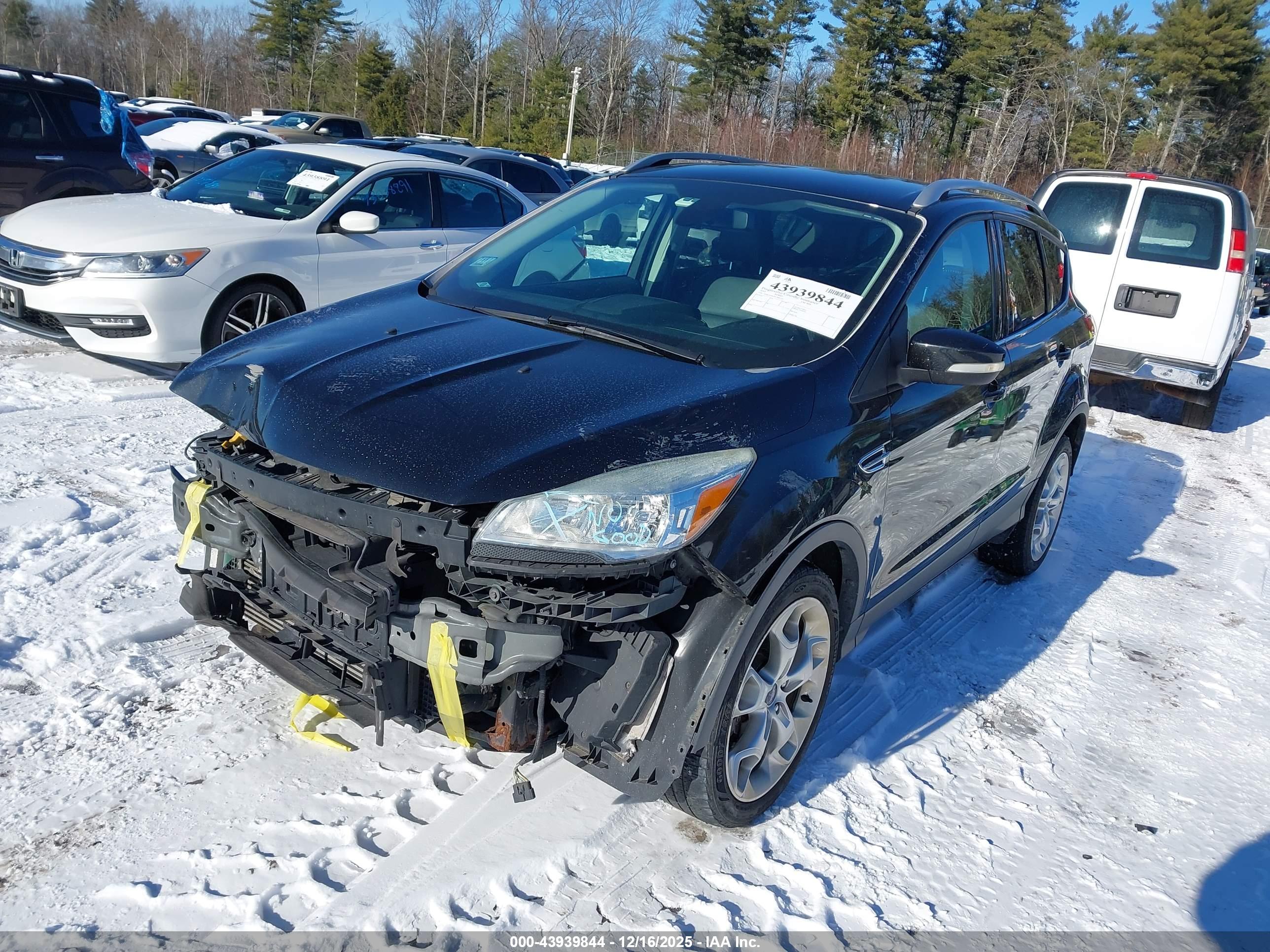 FORD ESCAPE image 2