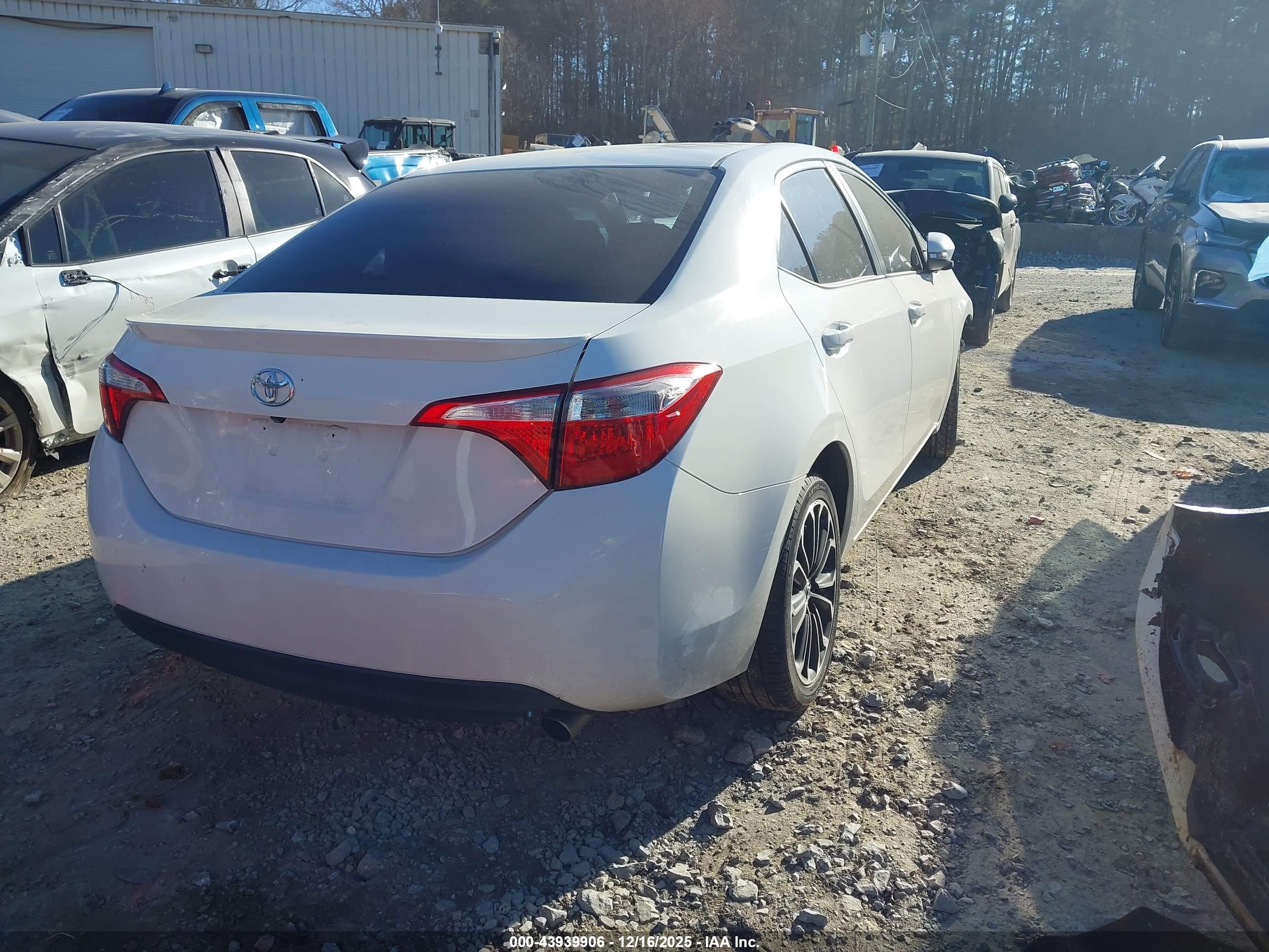 TOYOTA COROLLA image 4