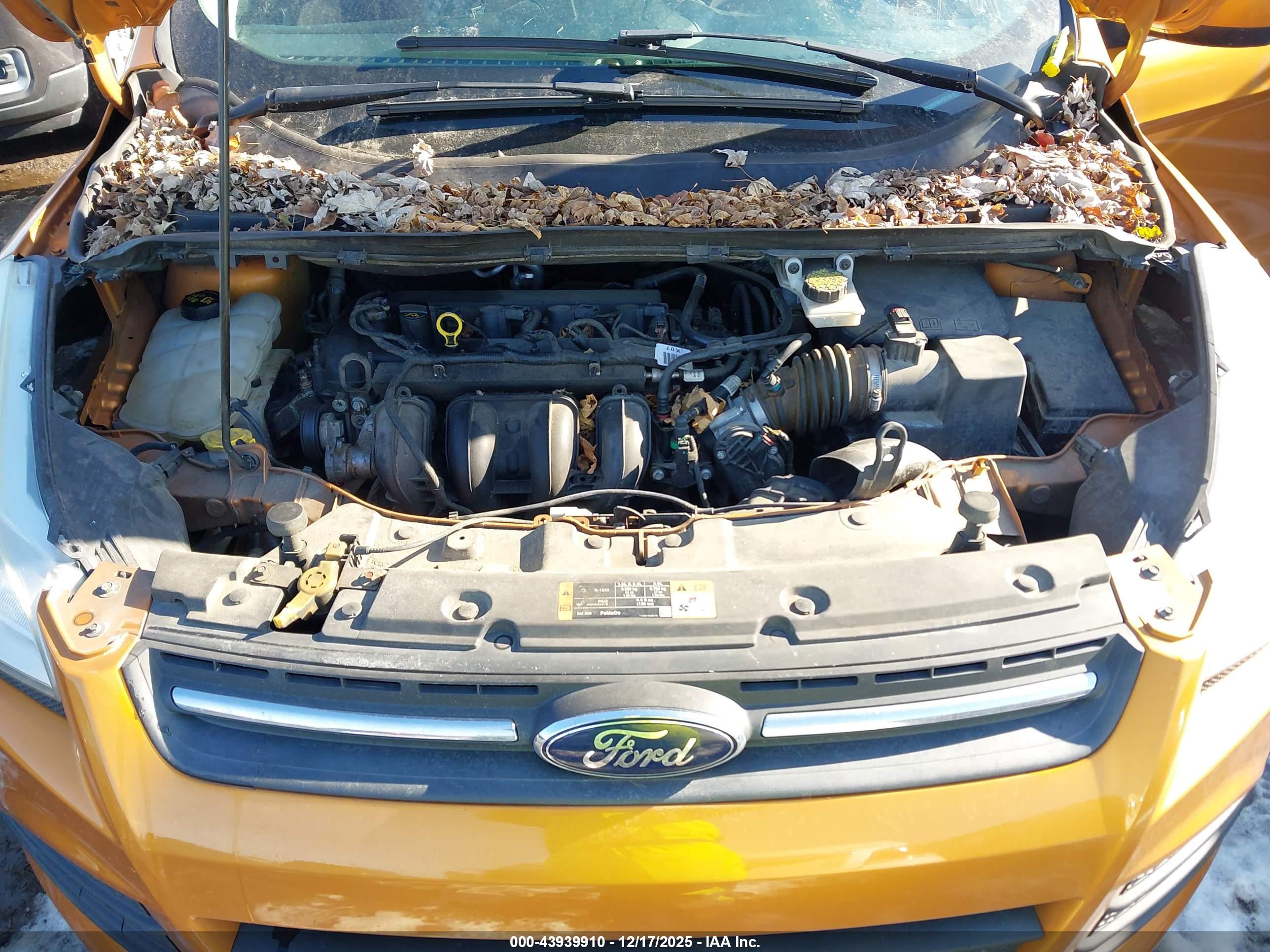 FORD ESCAPE image 10