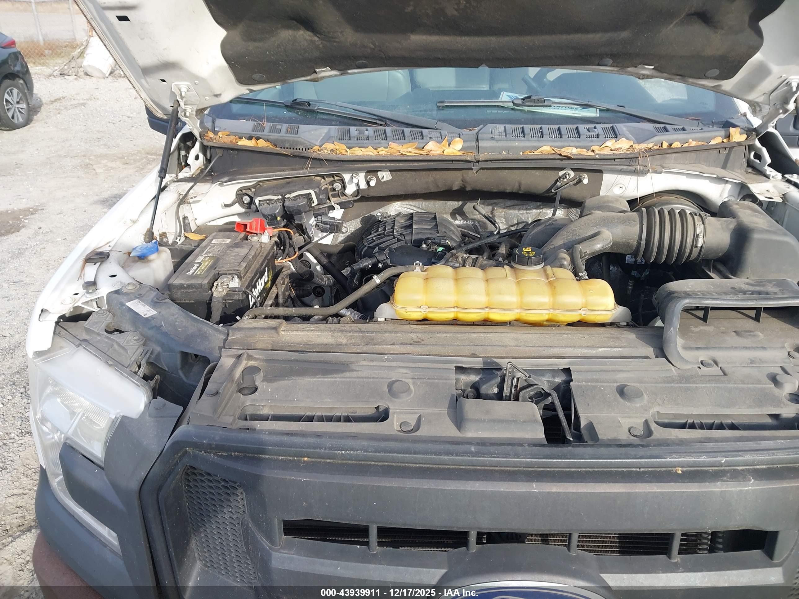 FORD F-150 image 10
