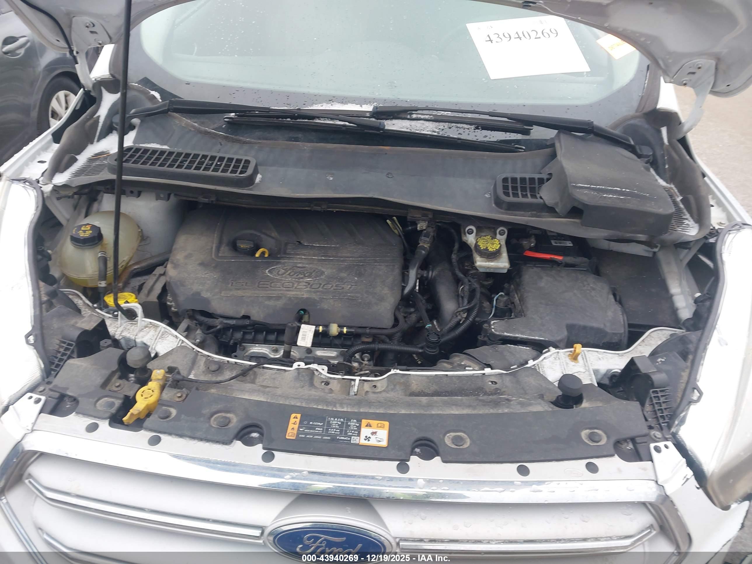 FORD ESCAPE image 10