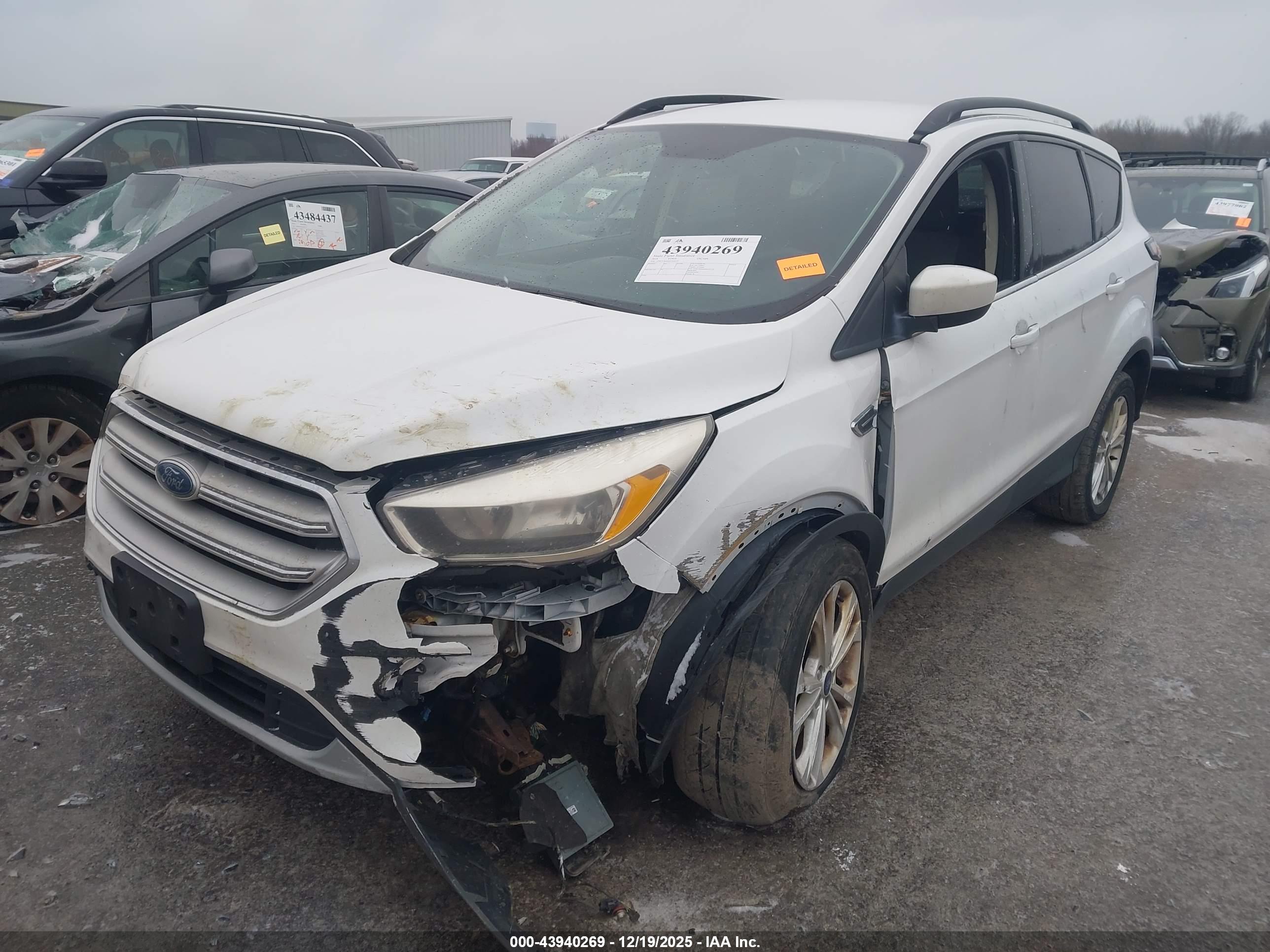 FORD ESCAPE image 2