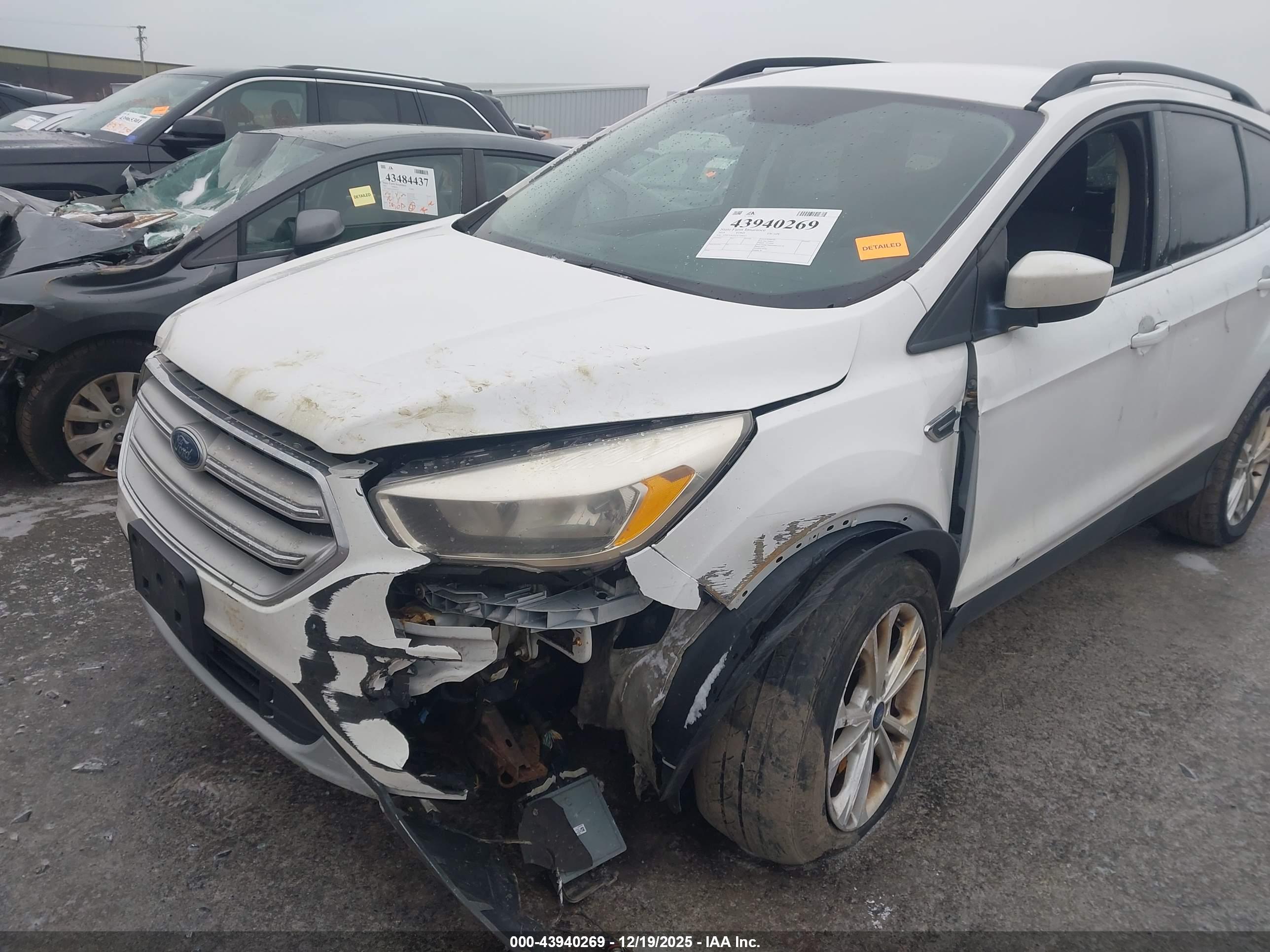 FORD ESCAPE image 6