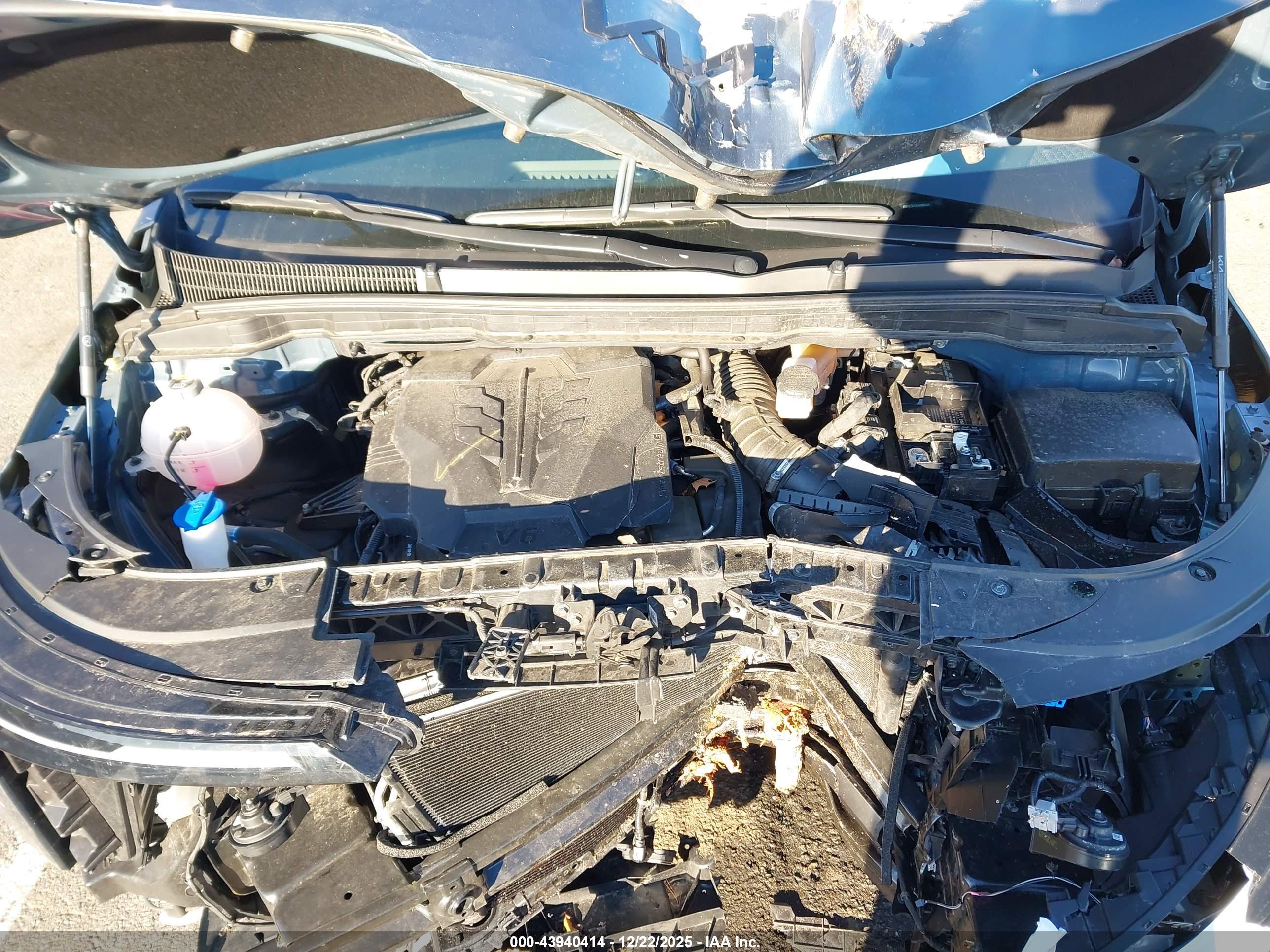 KIA CARNIVAL image 10