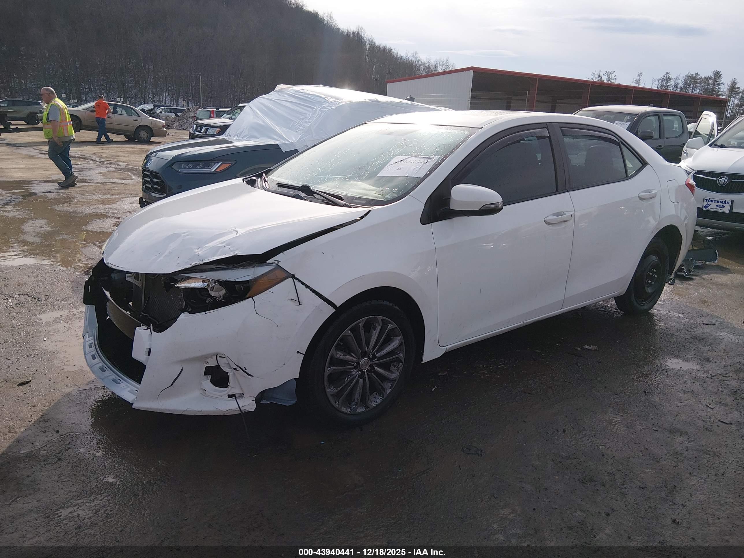 TOYOTA COROLLA image 2