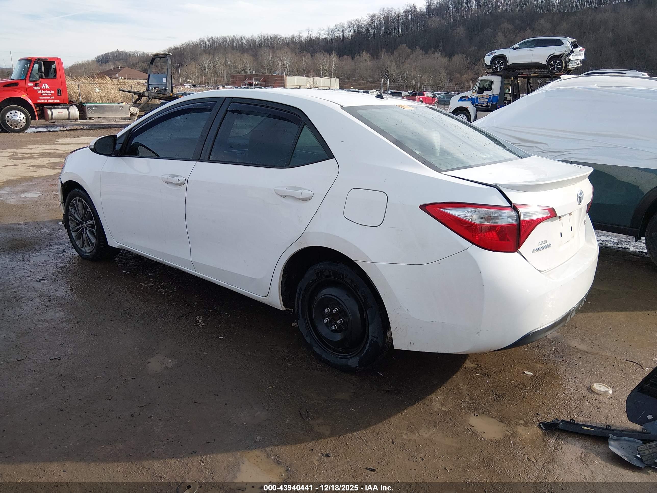 TOYOTA COROLLA image 3