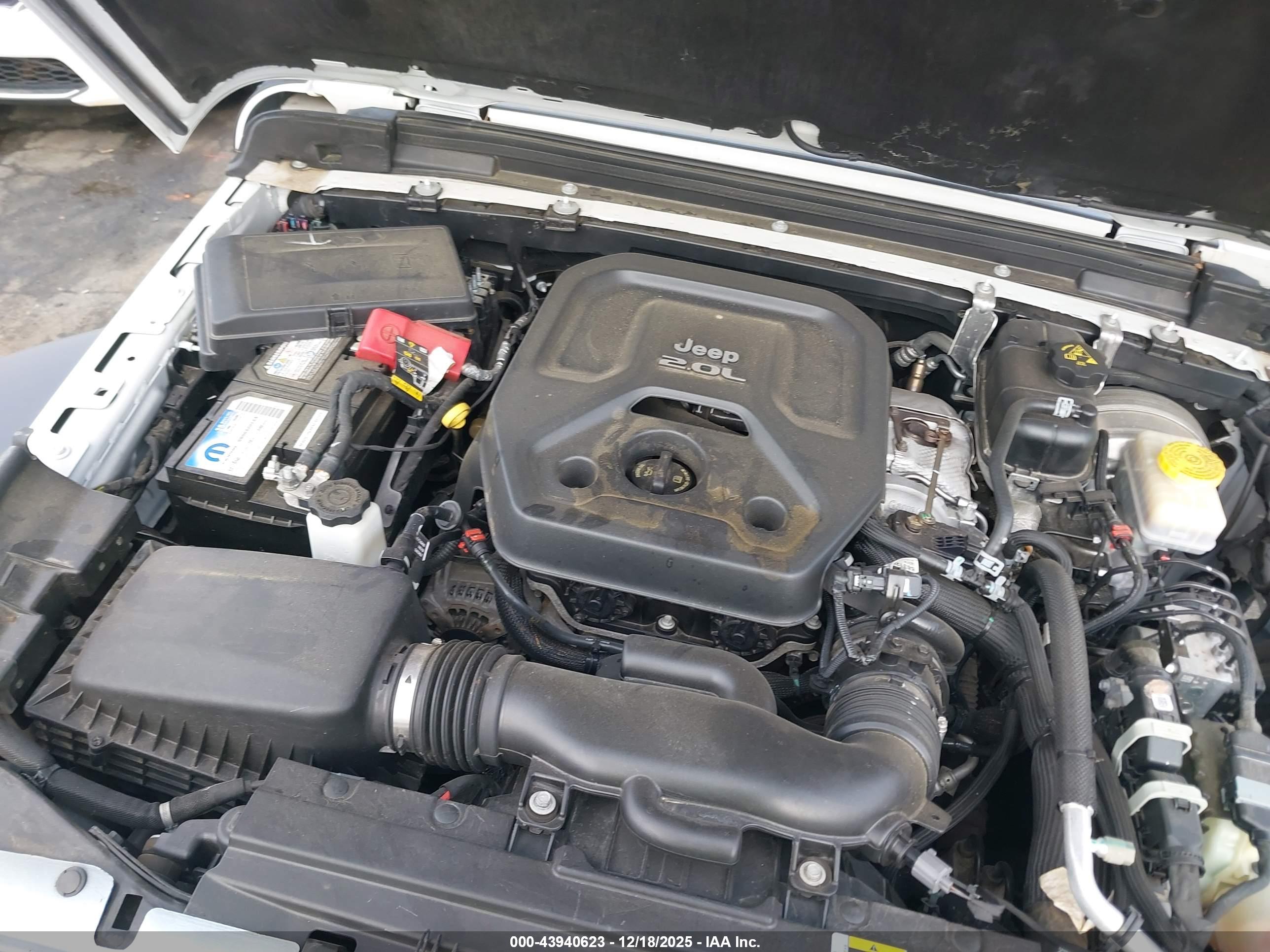 JEEP WRANGLER image 10