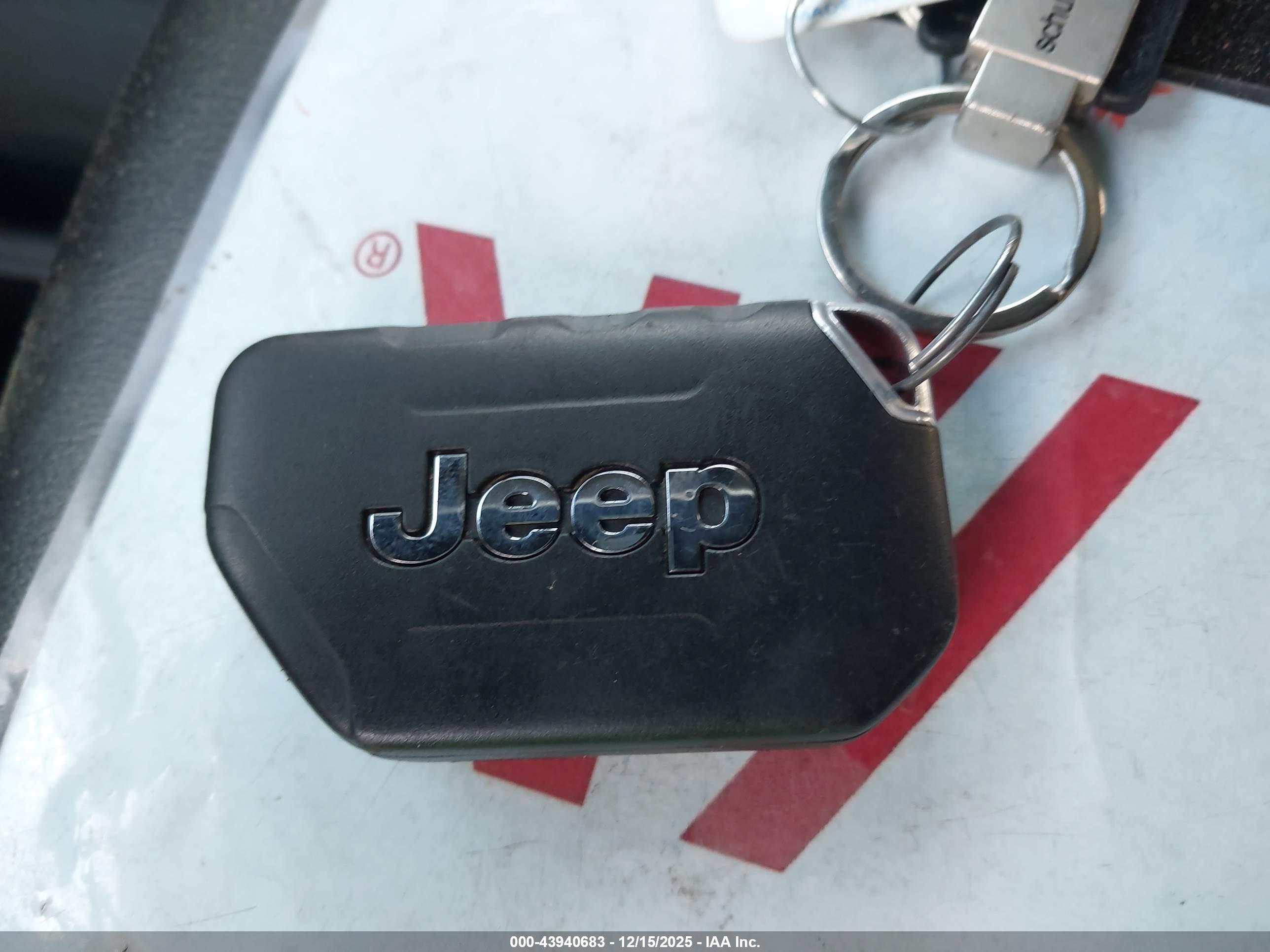 JEEP WRANGLER image 11