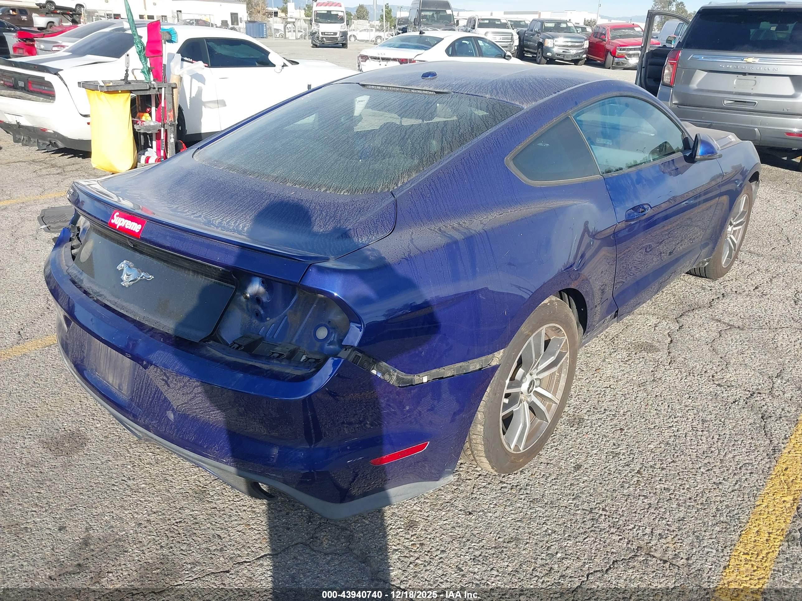 FORD MUSTANG image 4