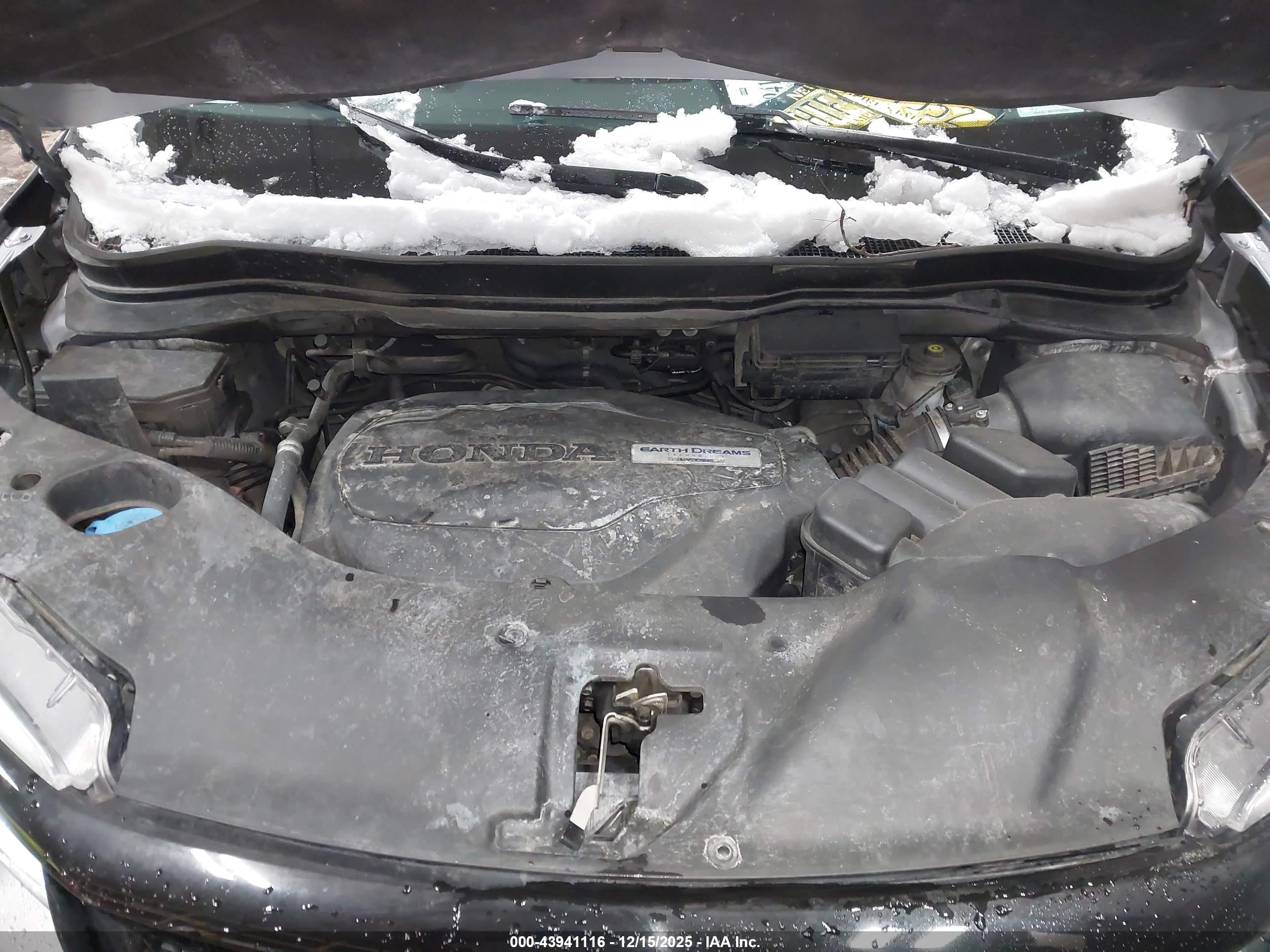 HONDA PASSPORT image 10