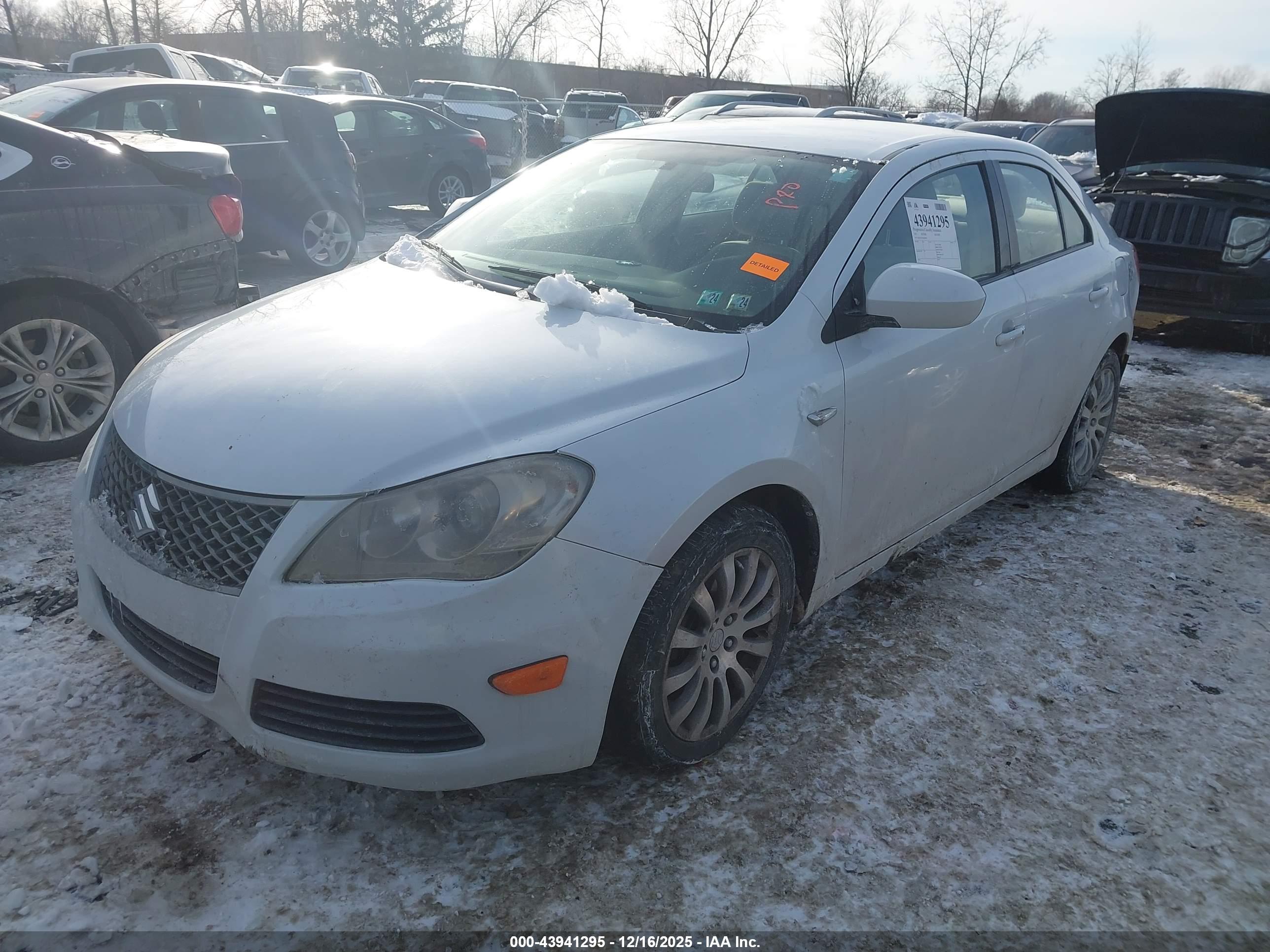 SUZUKI KIZASHI image 2