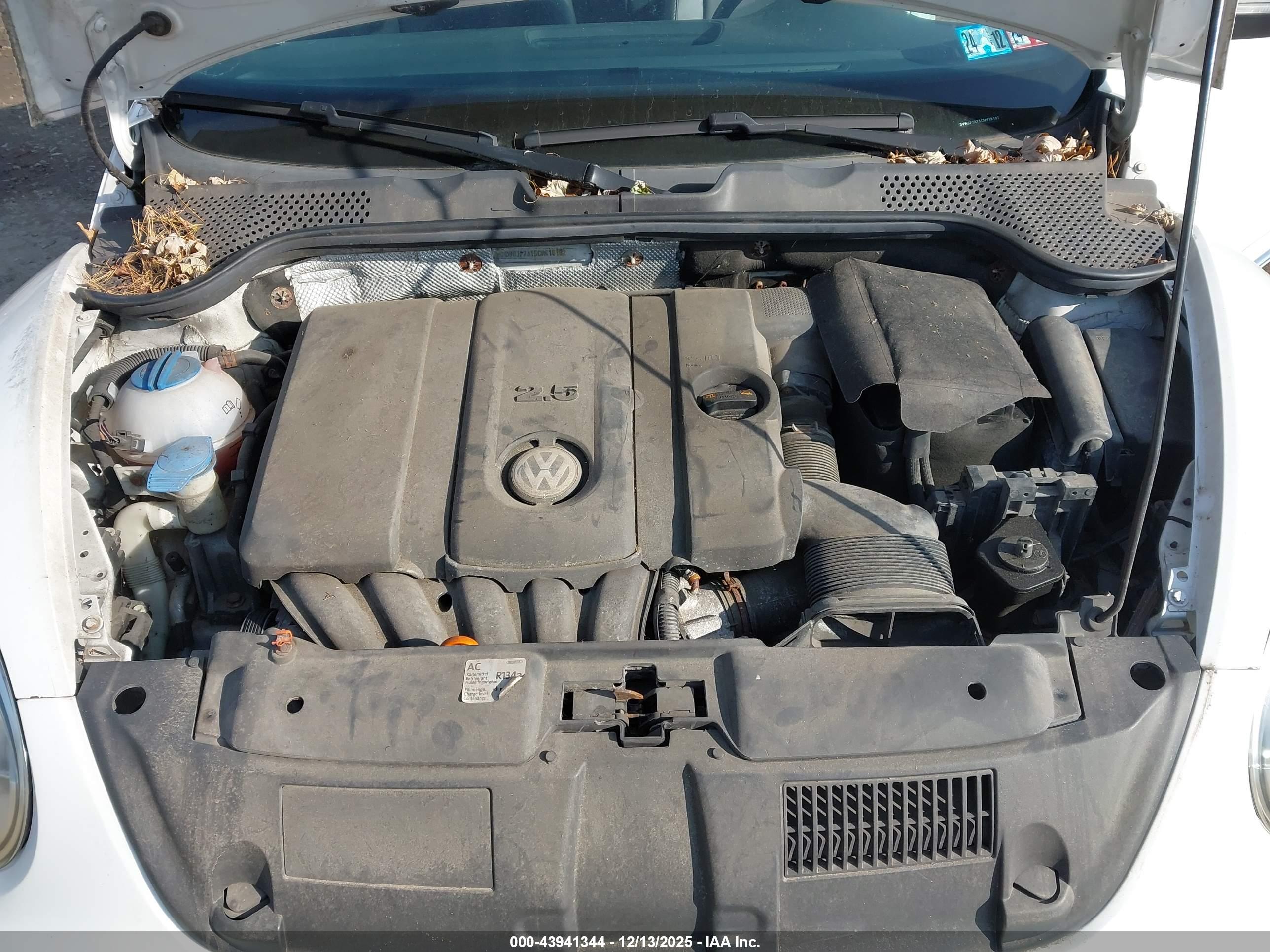 VOLKSWAGEN BEETLE image 10