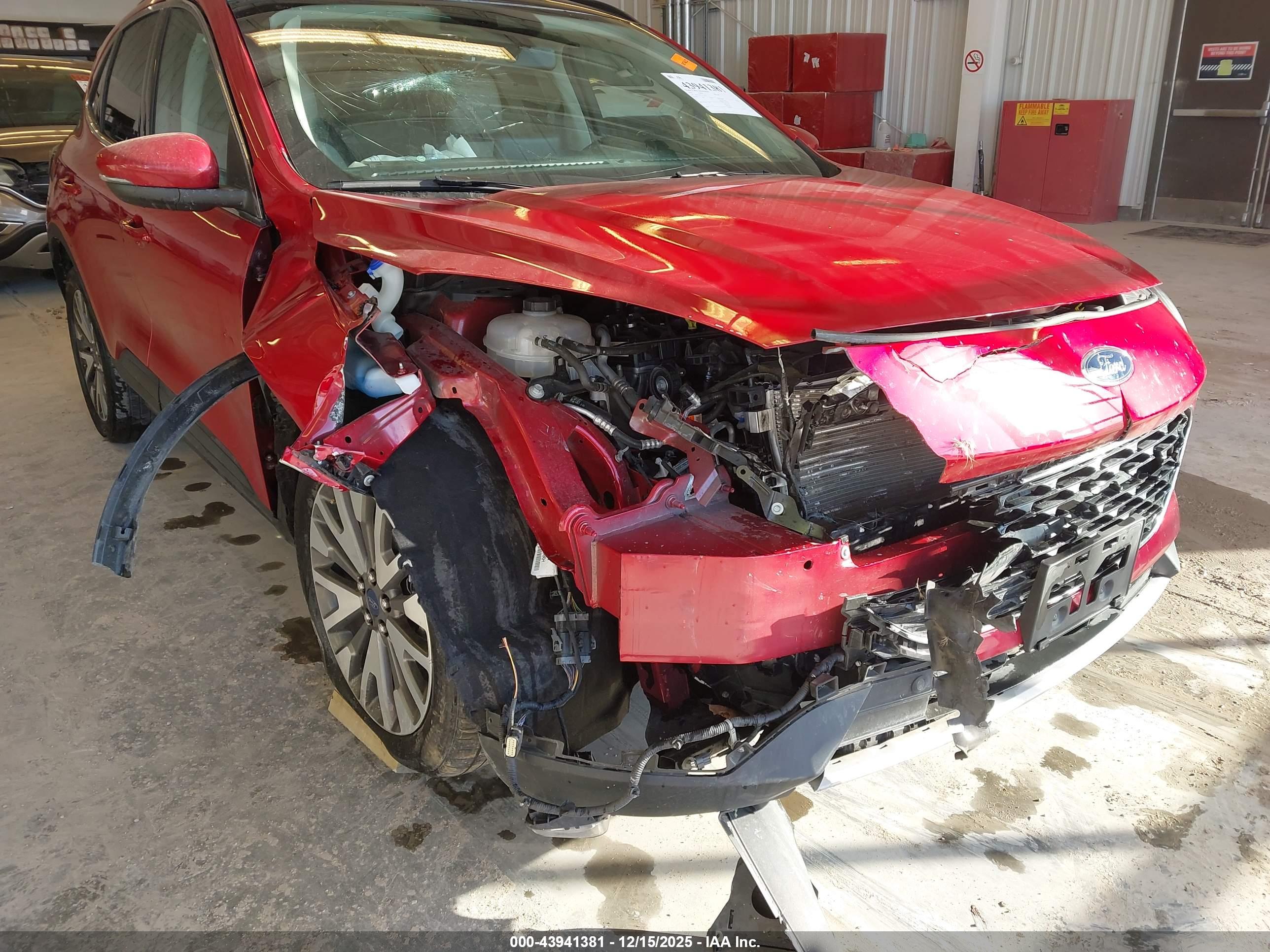 FORD ESCAPE image 6