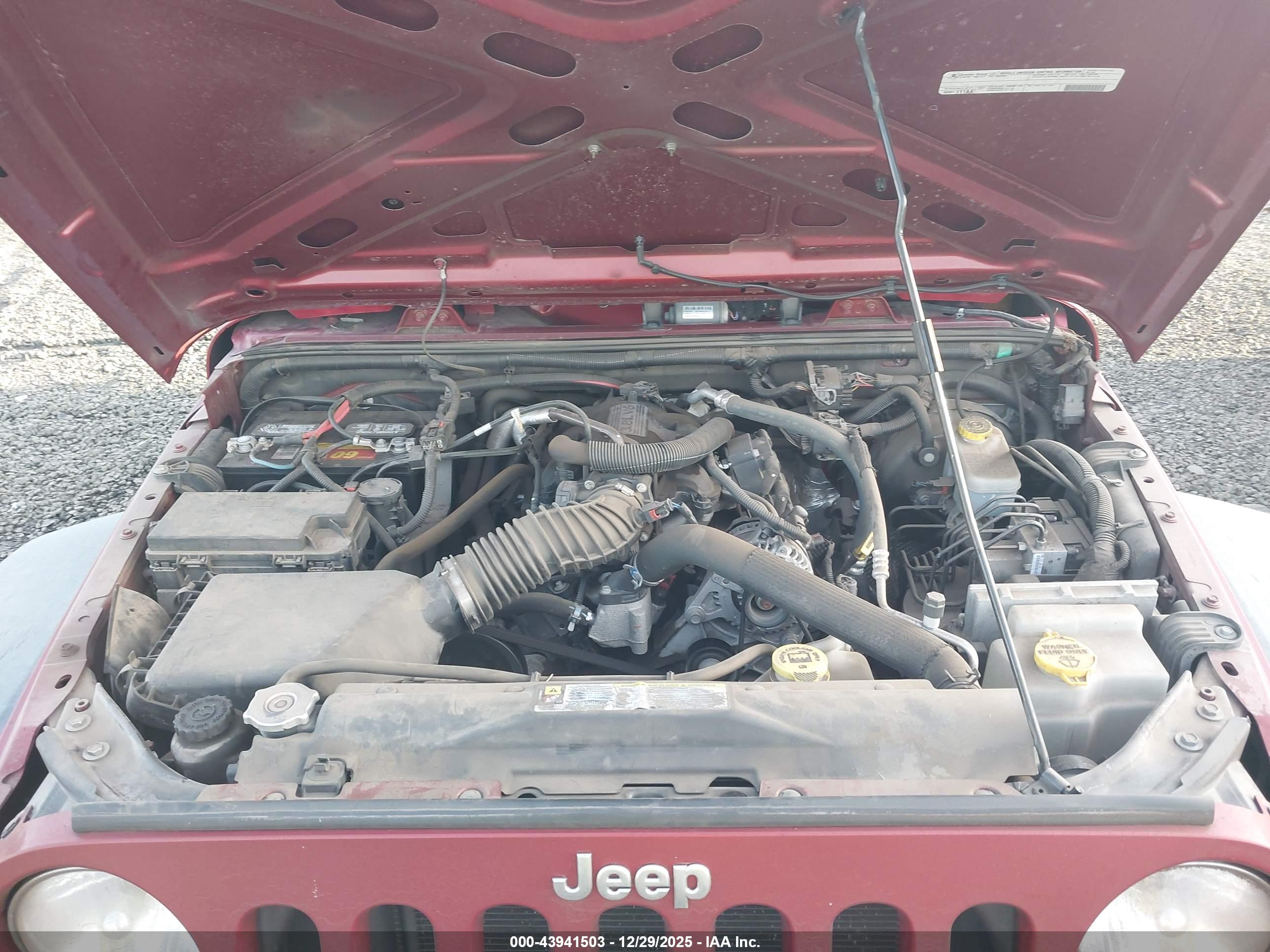 JEEP WRANGLER image 10