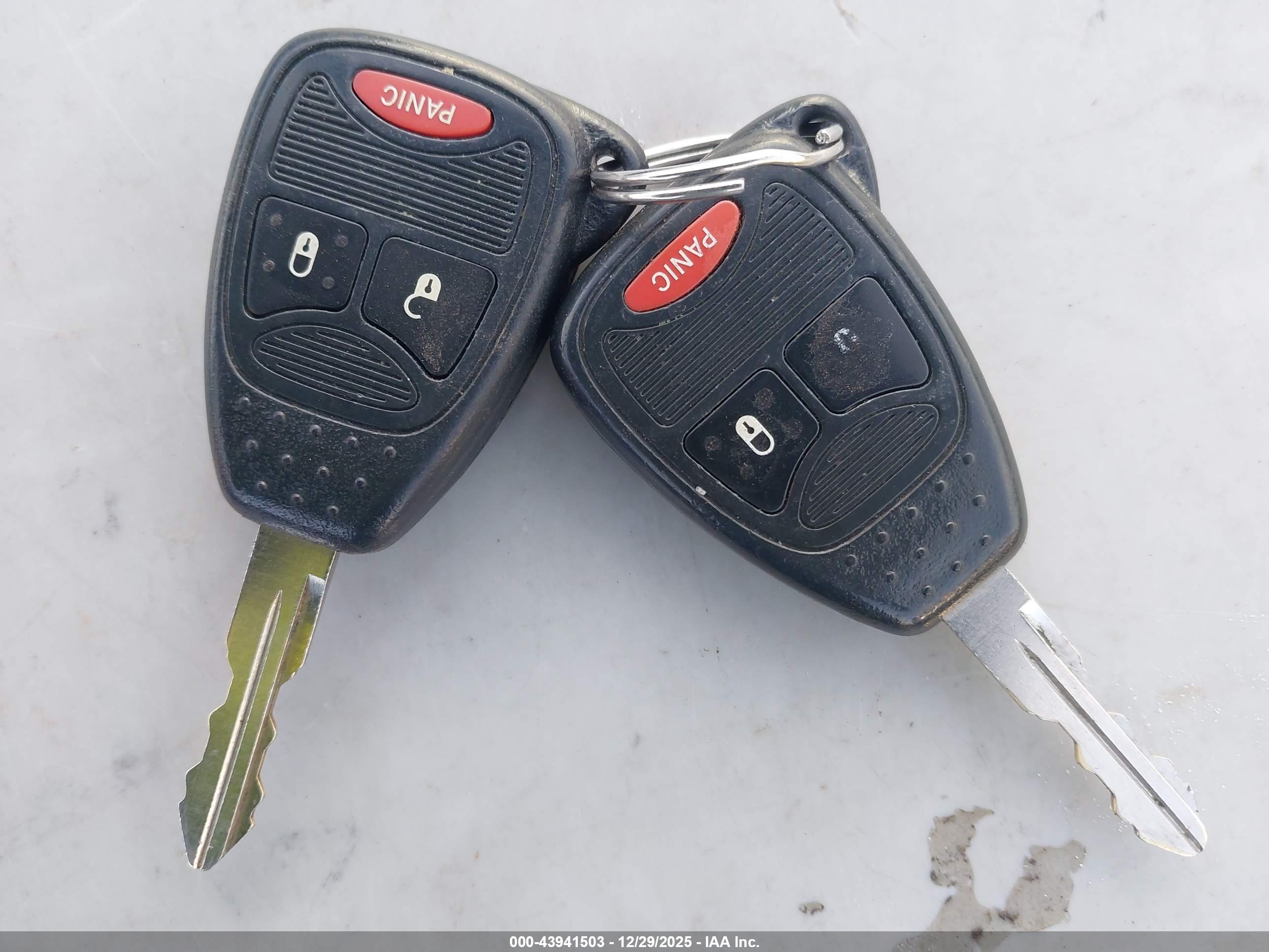 JEEP WRANGLER image 11