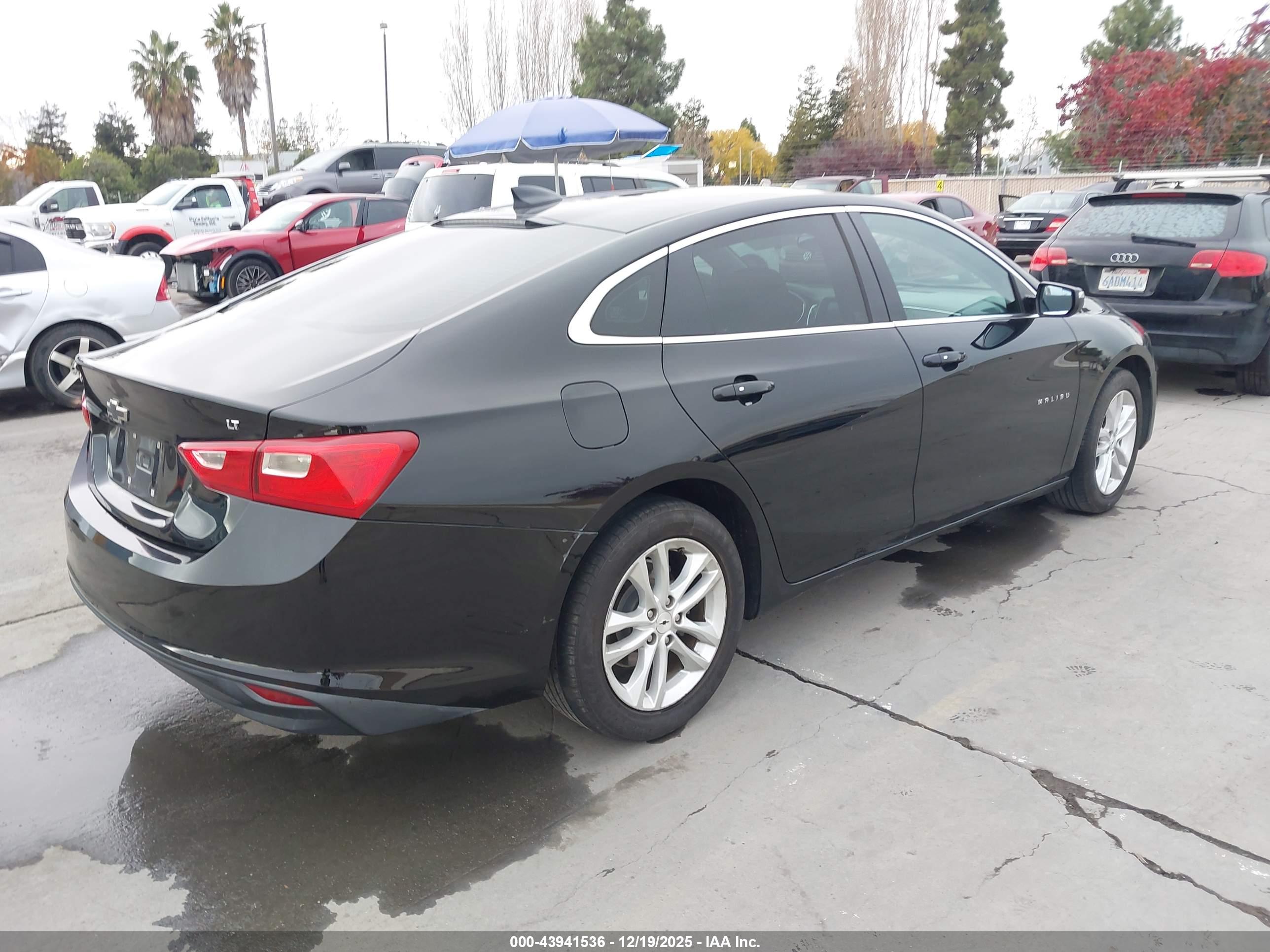 CHEVROLET MALIBU image 4