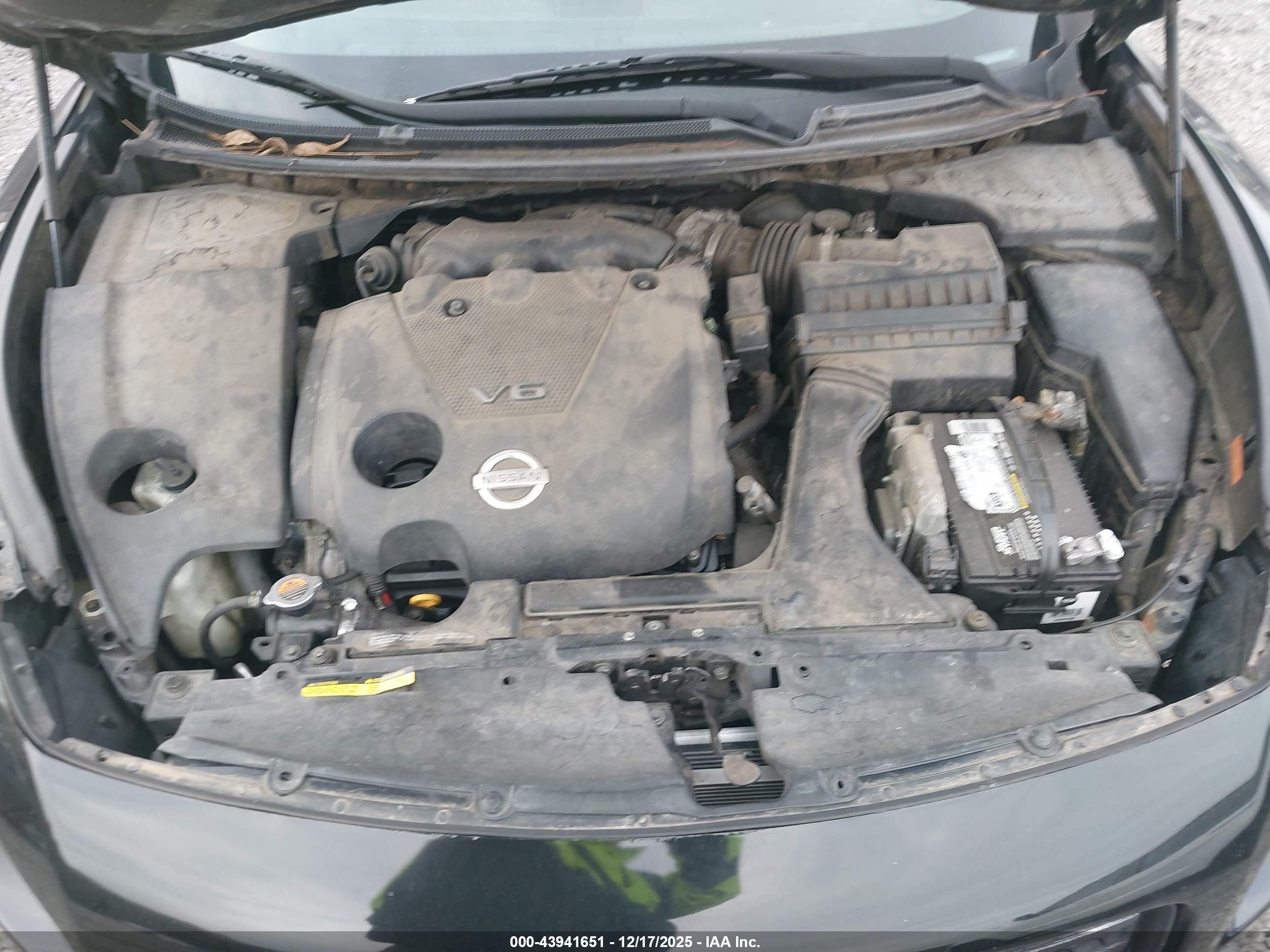 NISSAN MAXIMA image 10