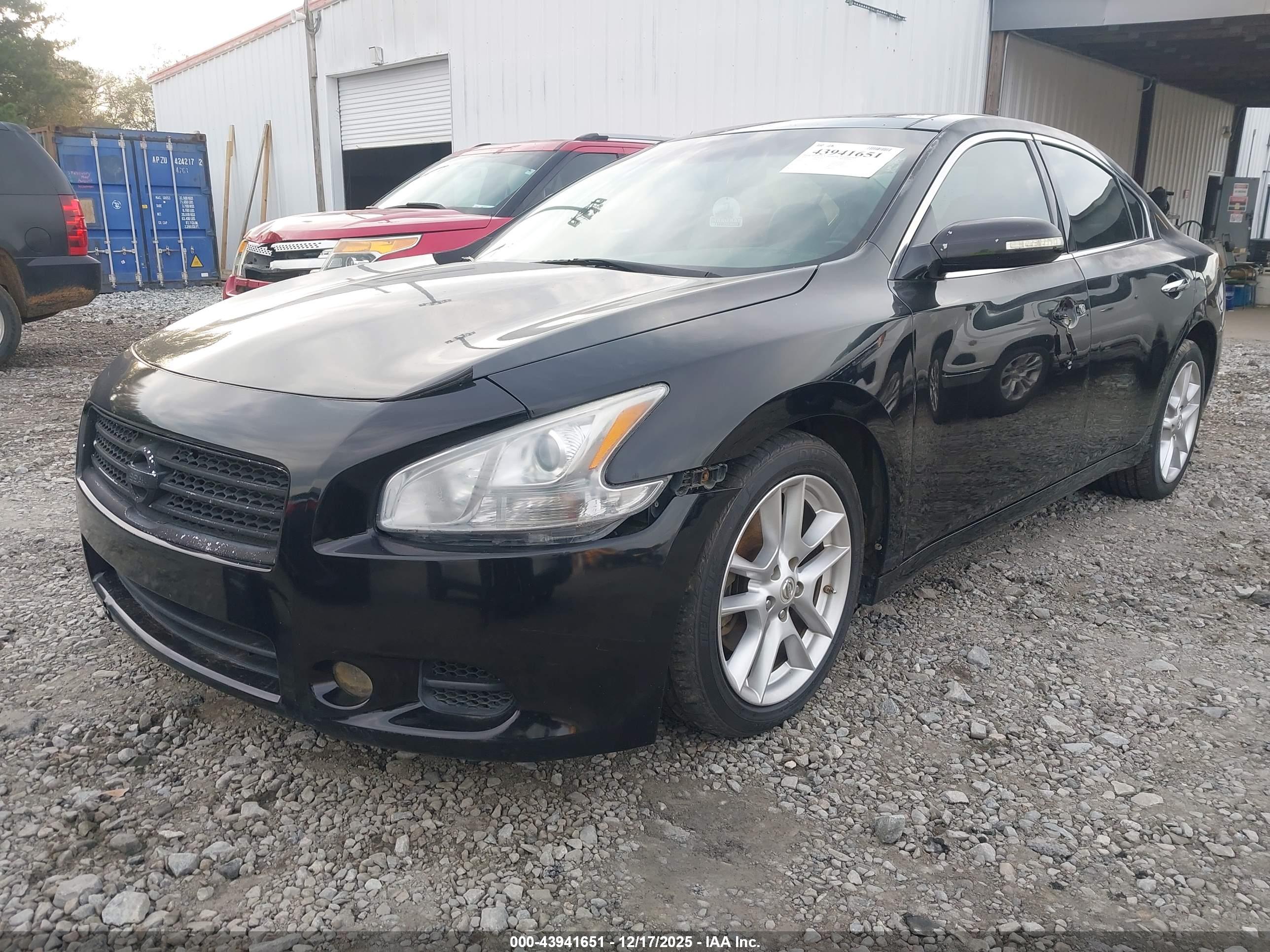 NISSAN MAXIMA image 2