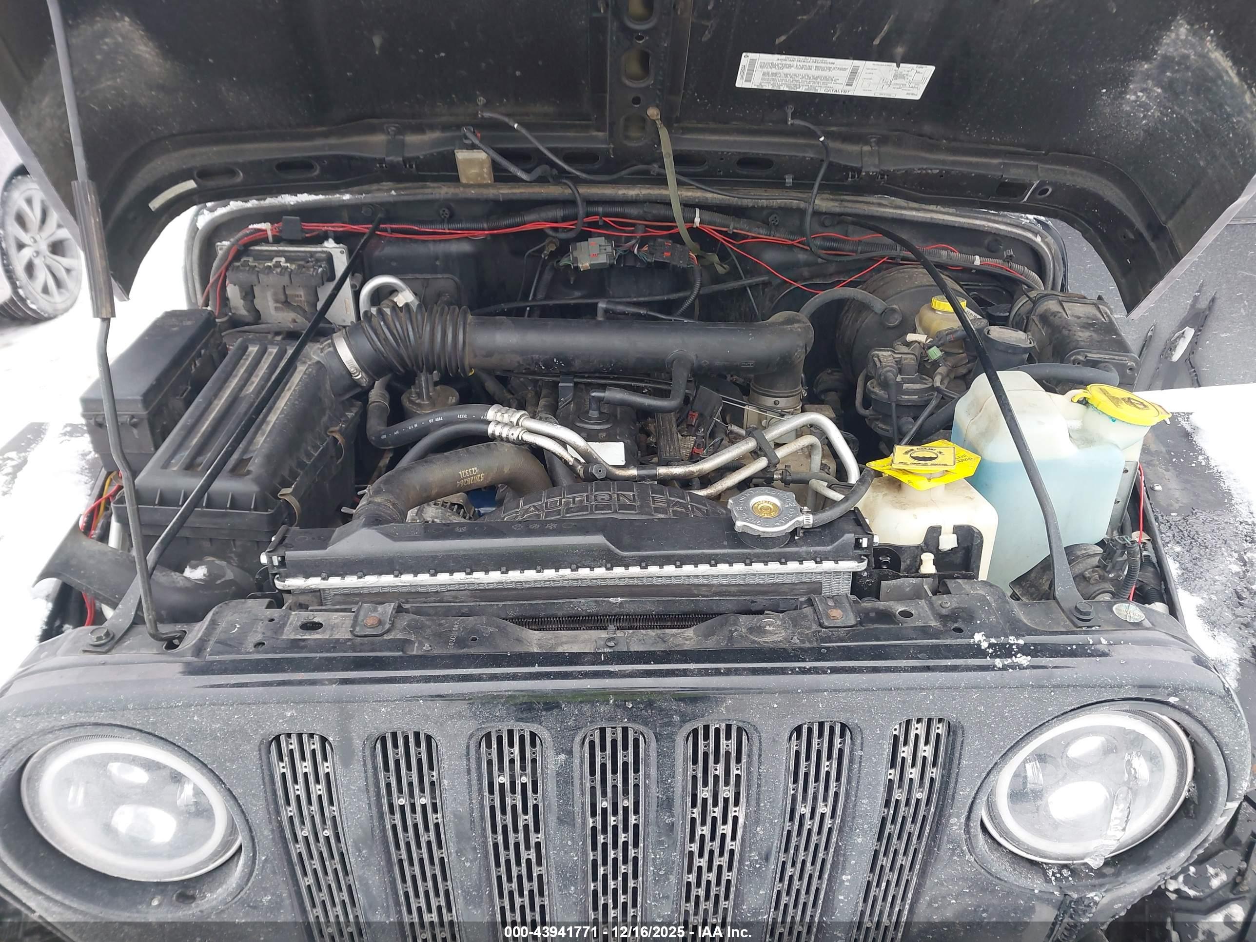 JEEP WRANGLER image 10