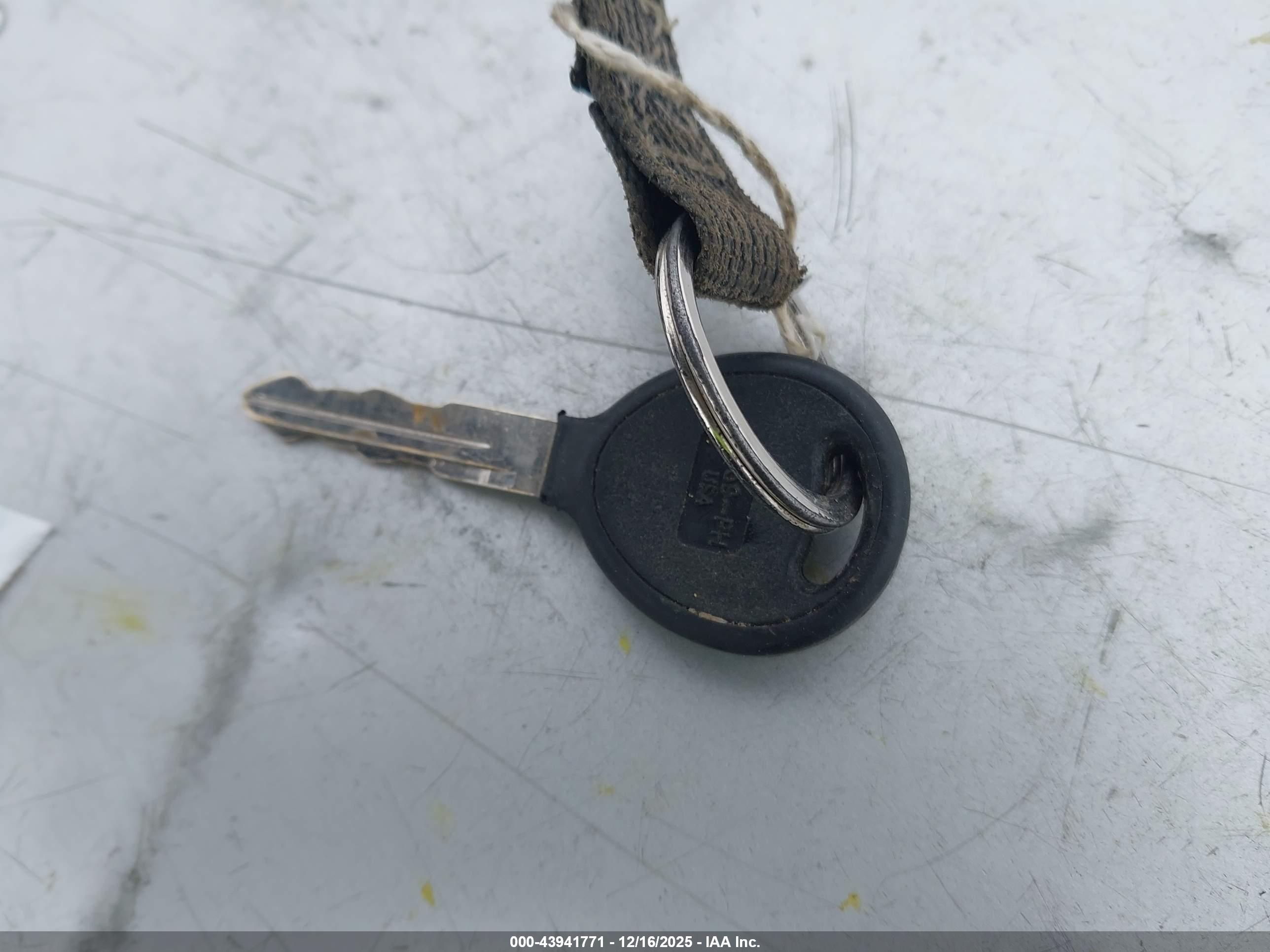 JEEP WRANGLER image 11