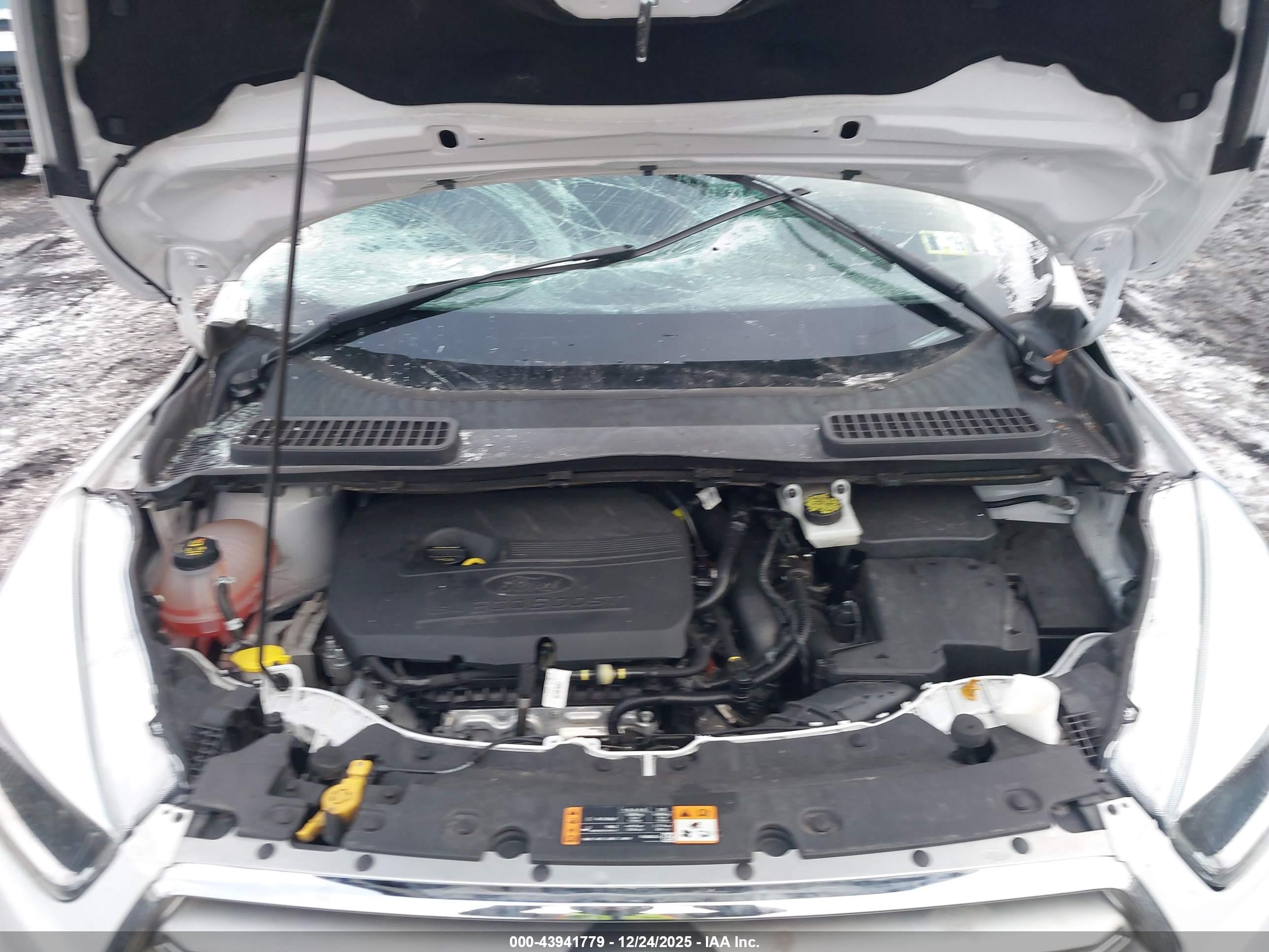 FORD ESCAPE image 10