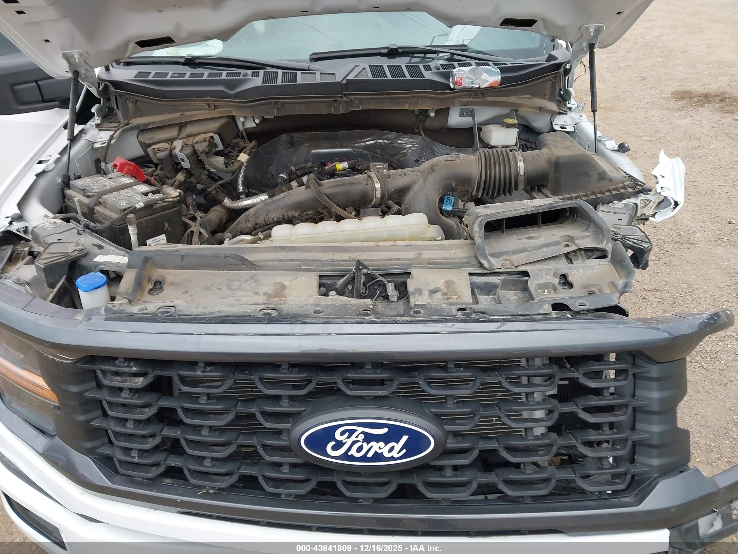 FORD F-150 image 10