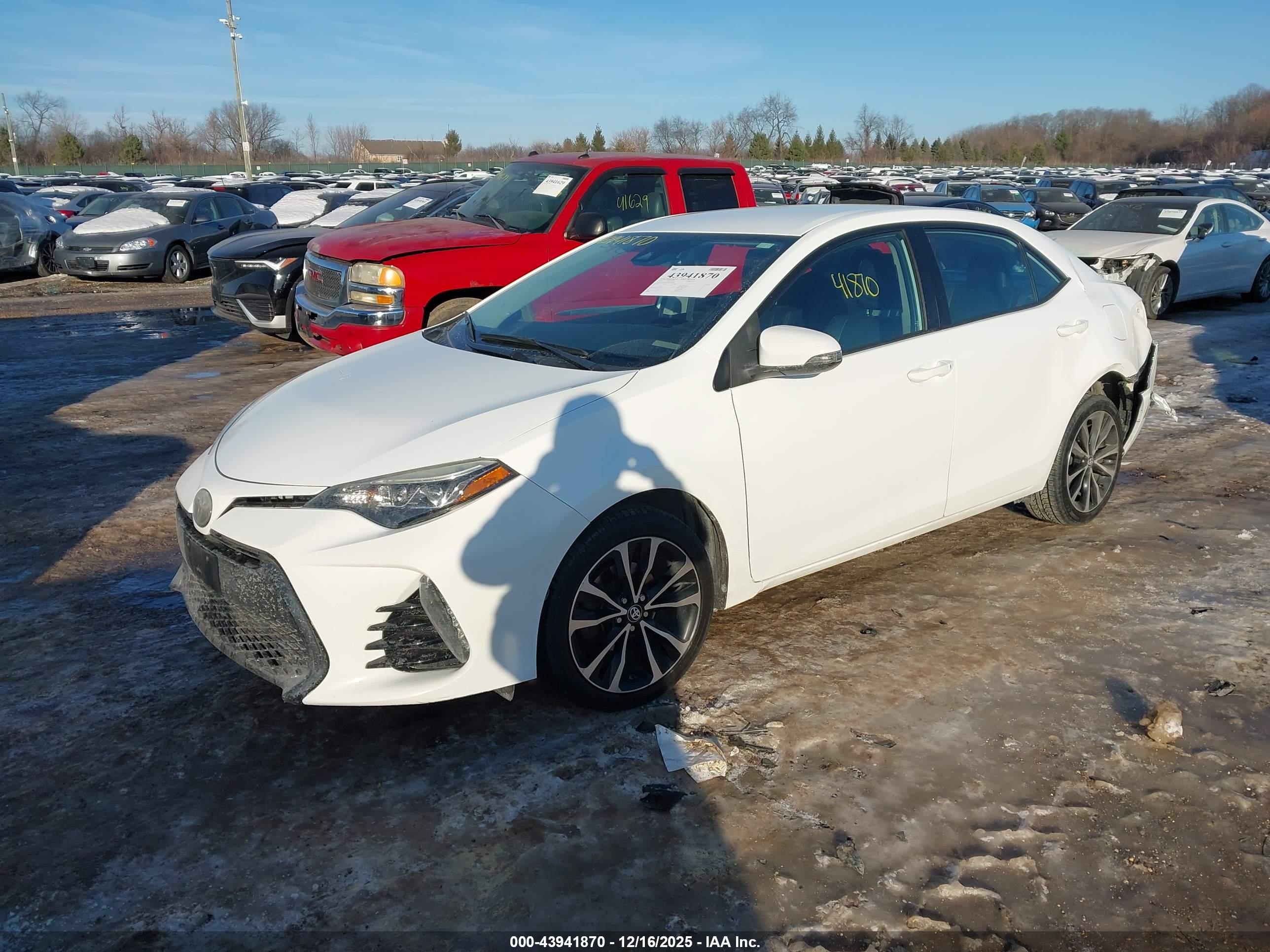 TOYOTA COROLLA image 2