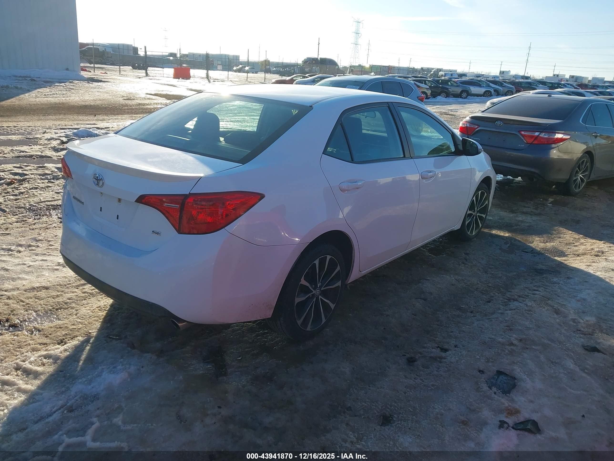 TOYOTA COROLLA image 4