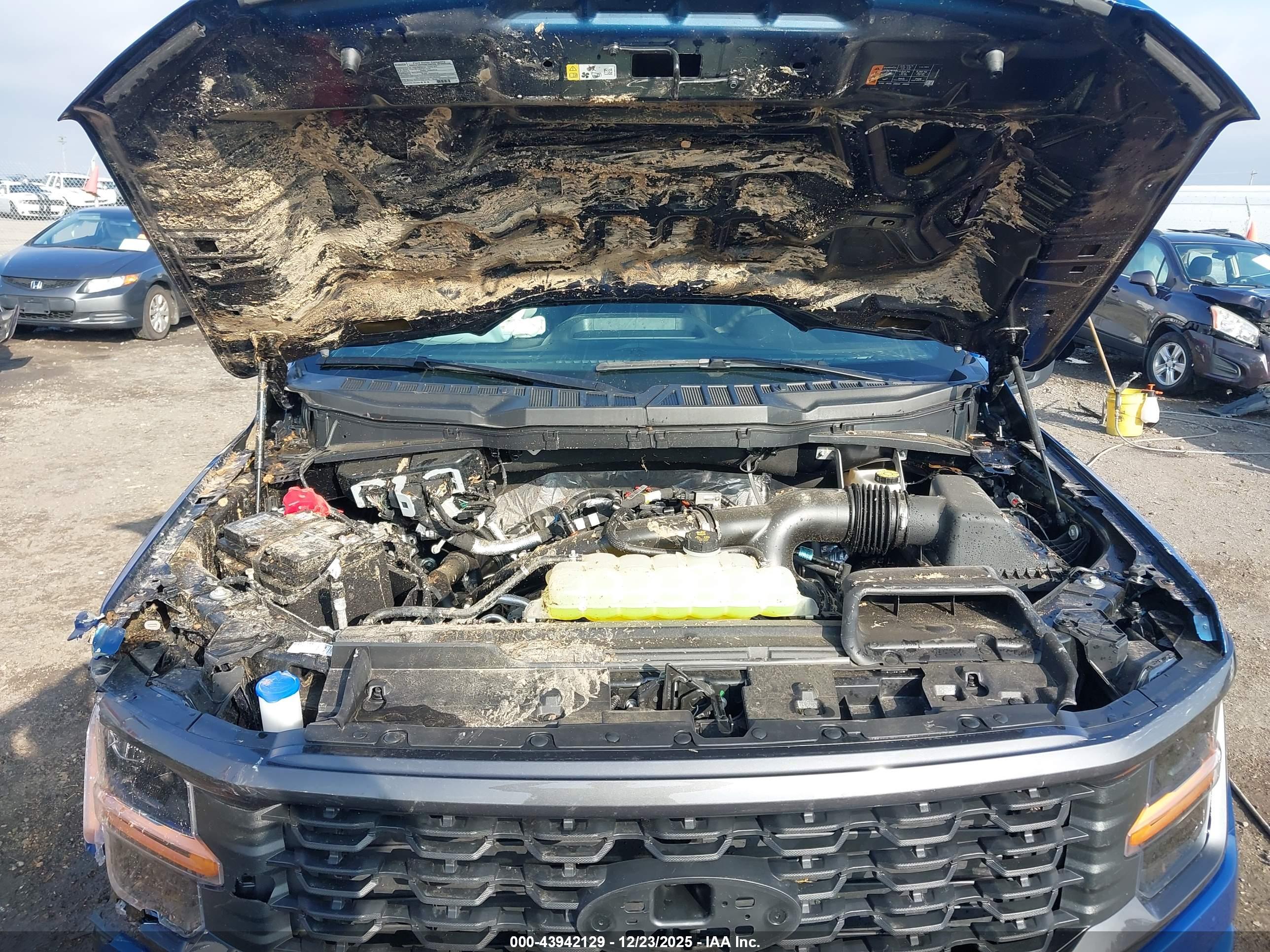 FORD F-150 image 10