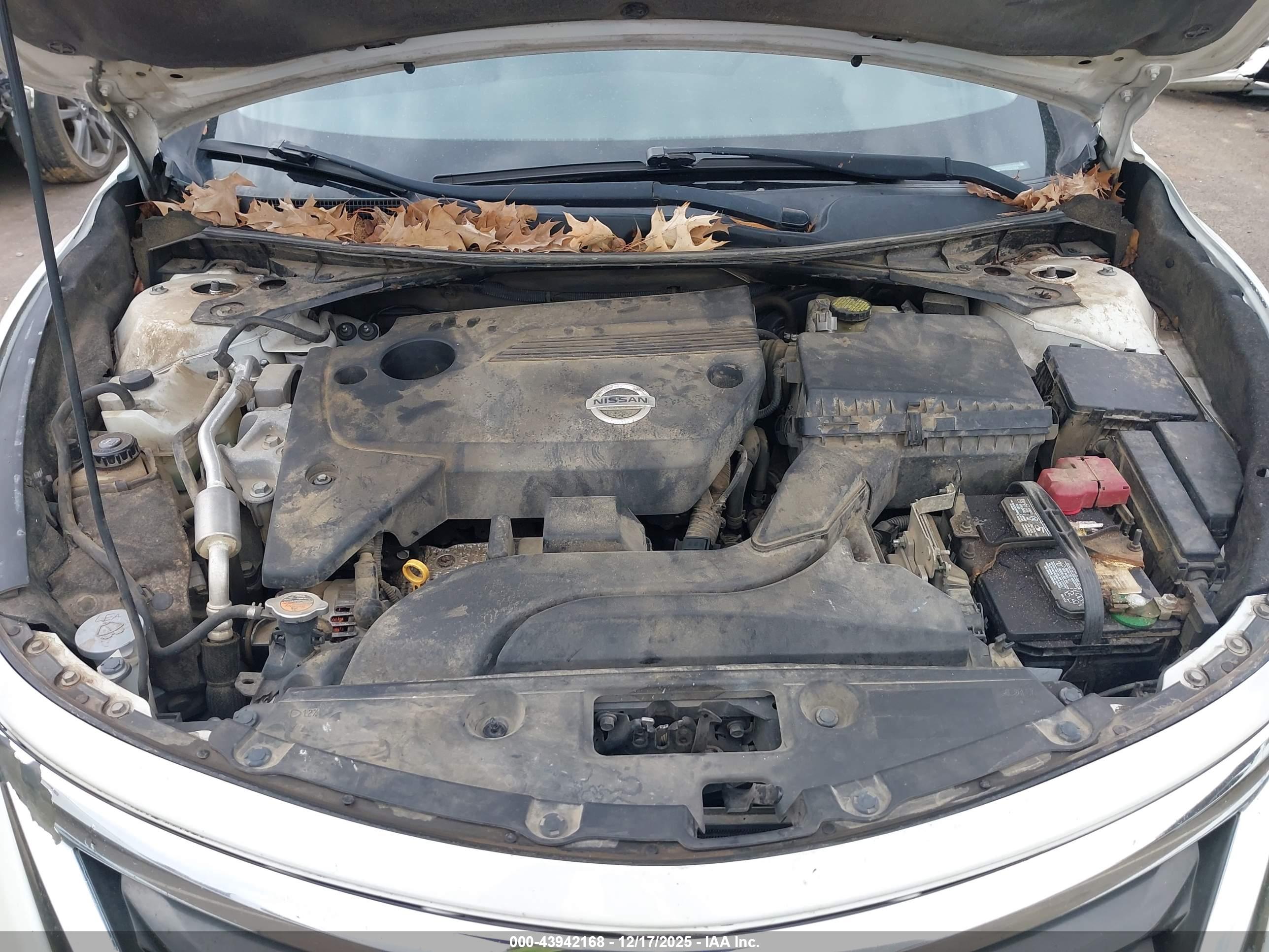 NISSAN ALTIMA image 10