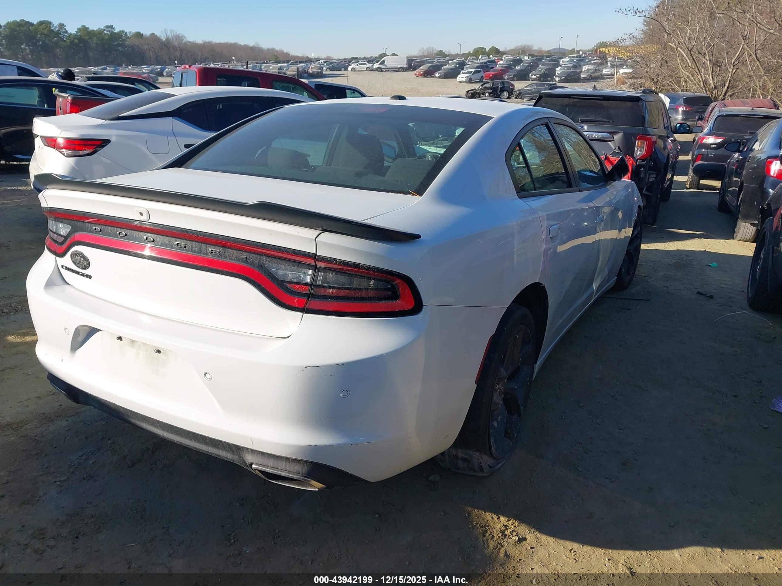 DODGE CHARGER image 4