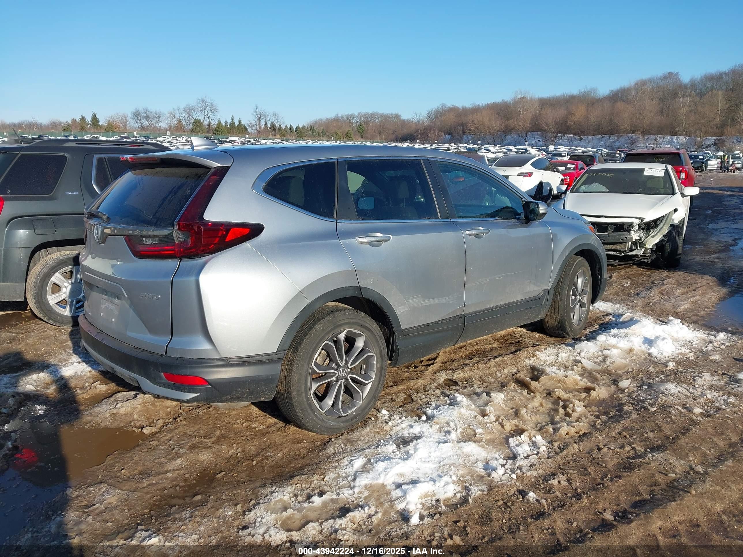 HONDA CR-V image 4