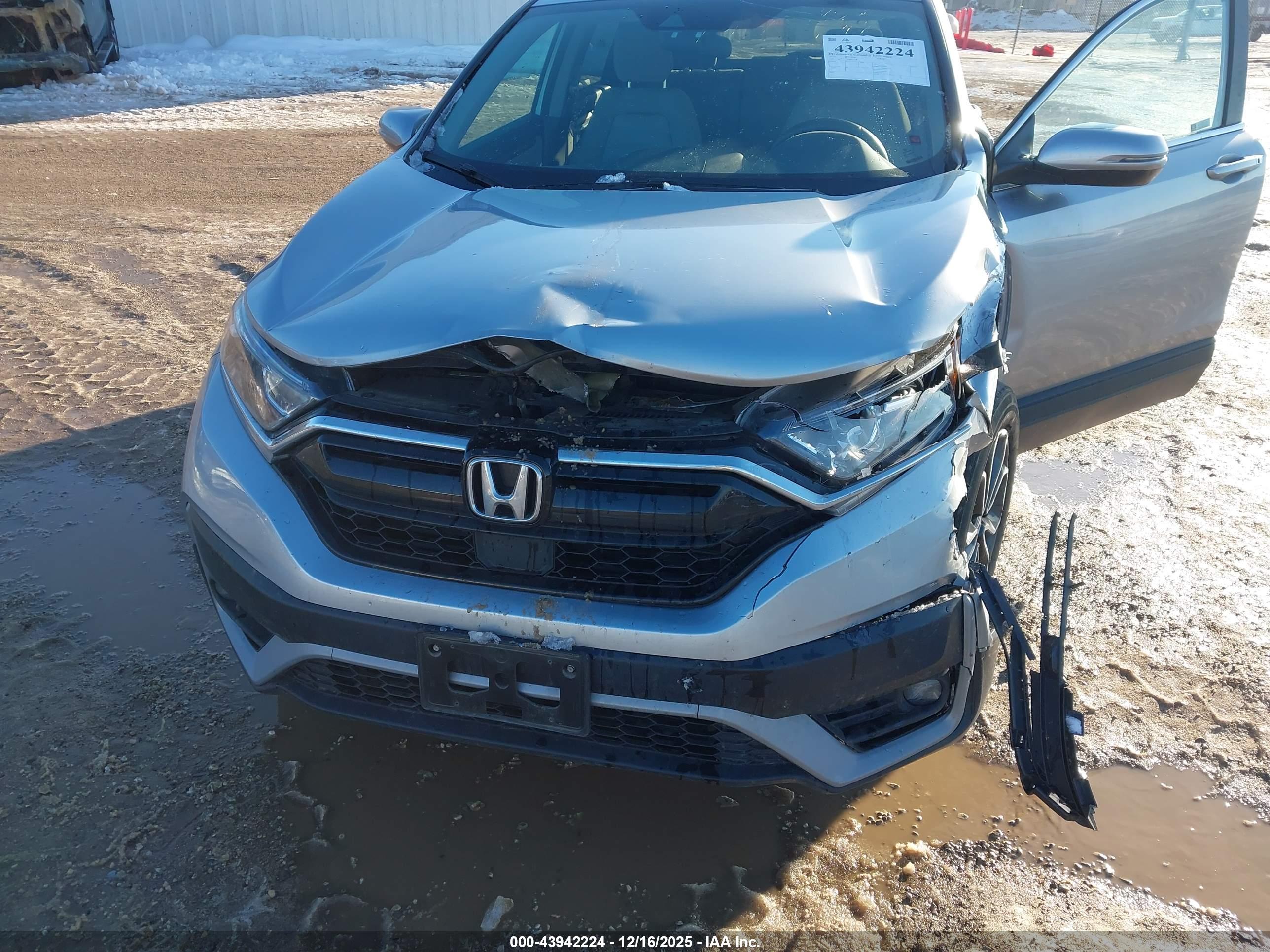 HONDA CR-V image 6