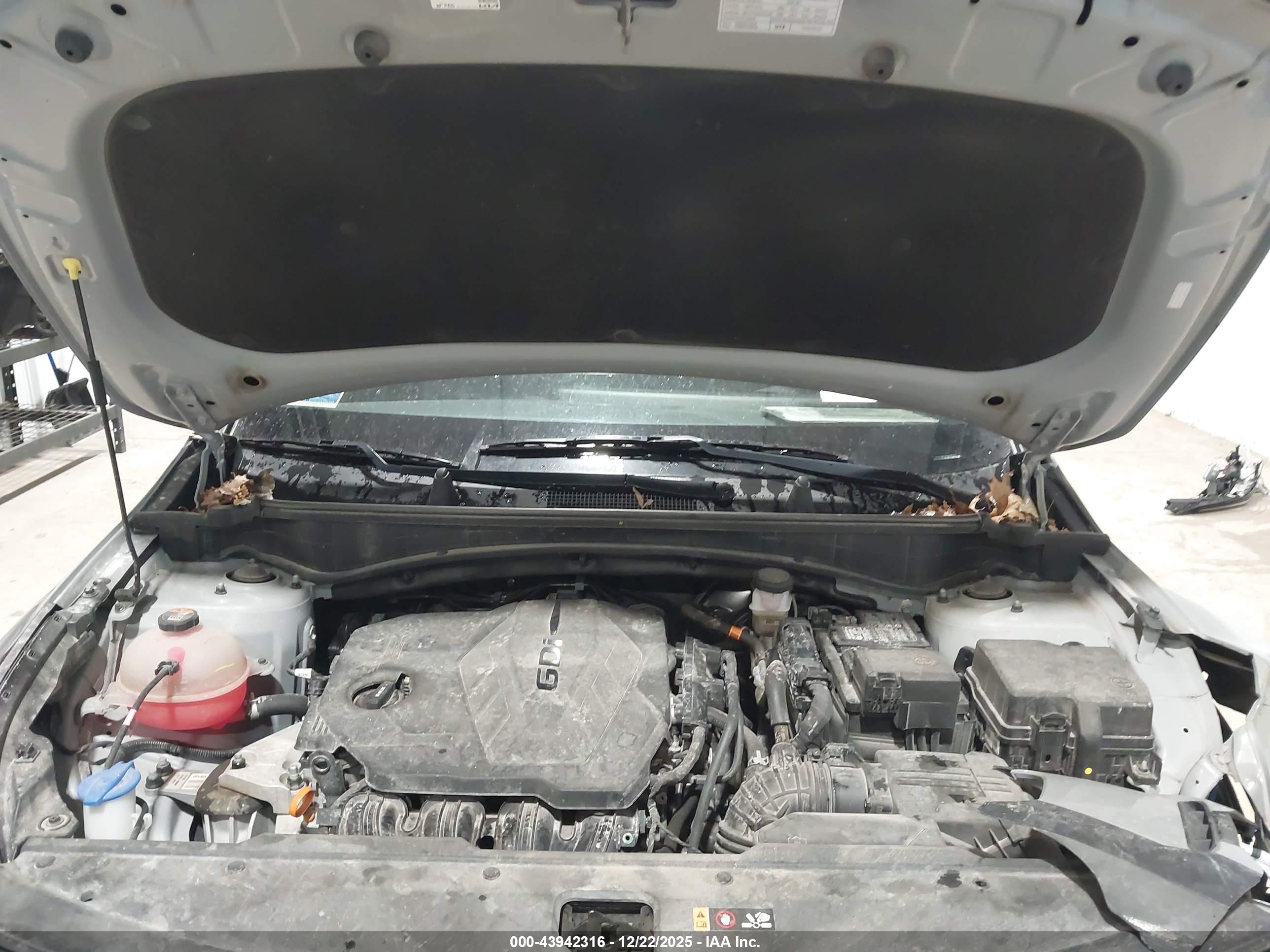 KIA SPORTAGE image 10