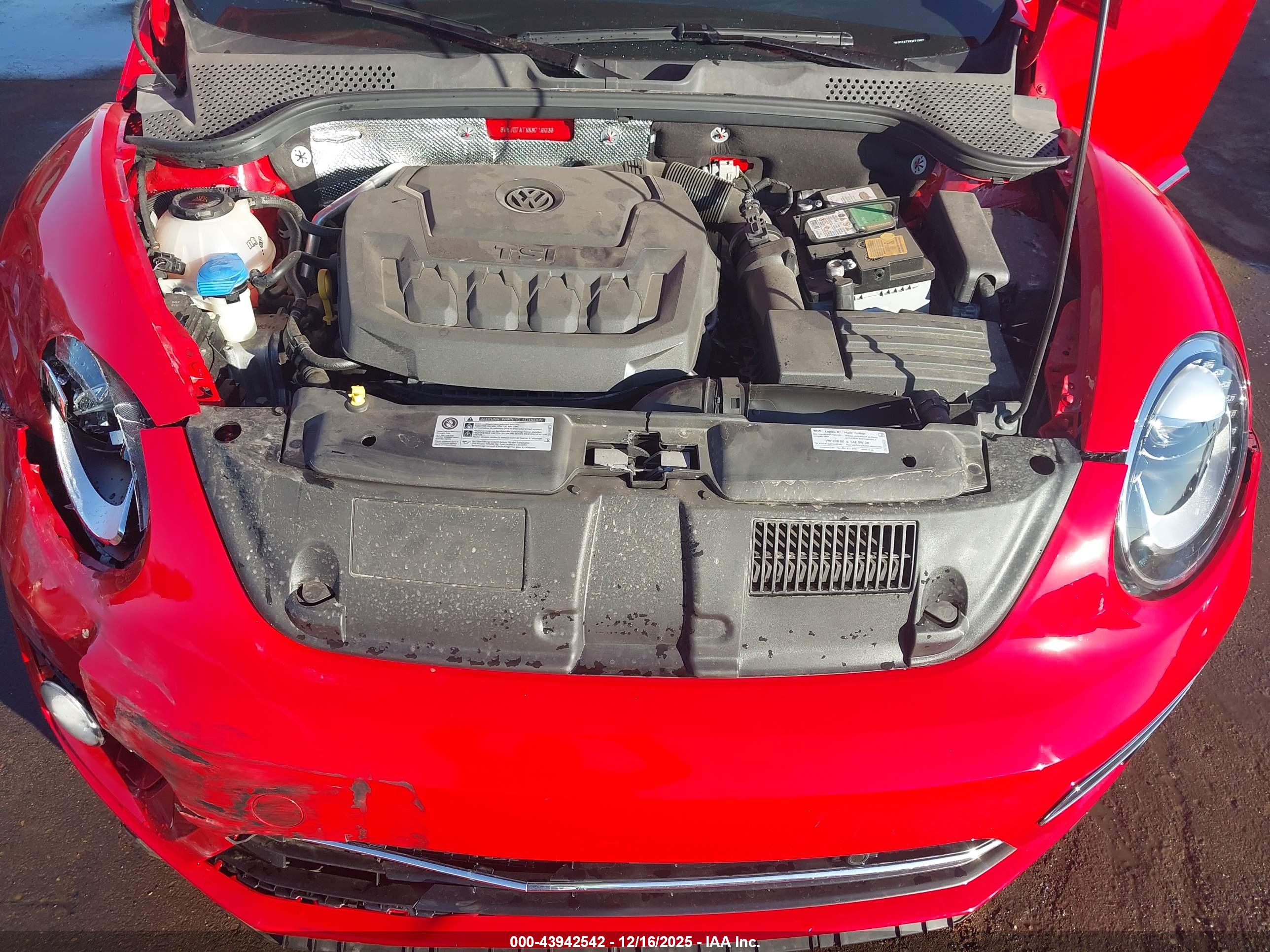 VOLKSWAGEN BEETLE image 10