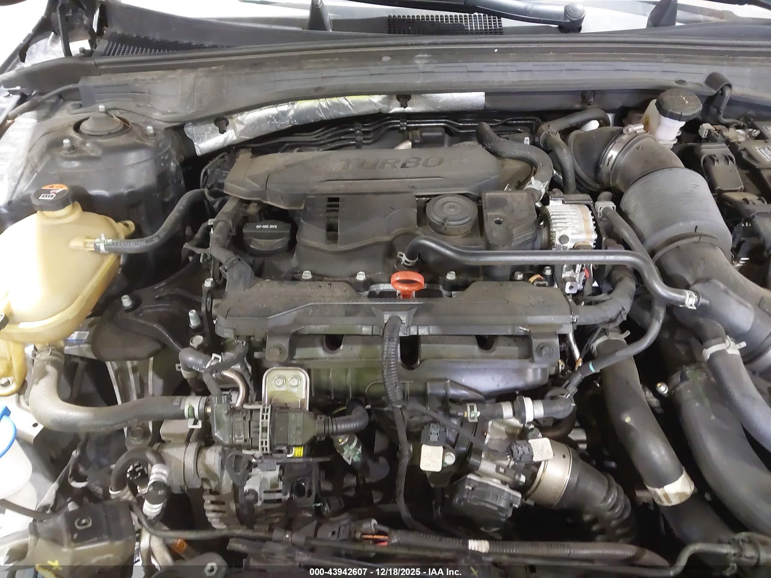 KIA K5 image 10