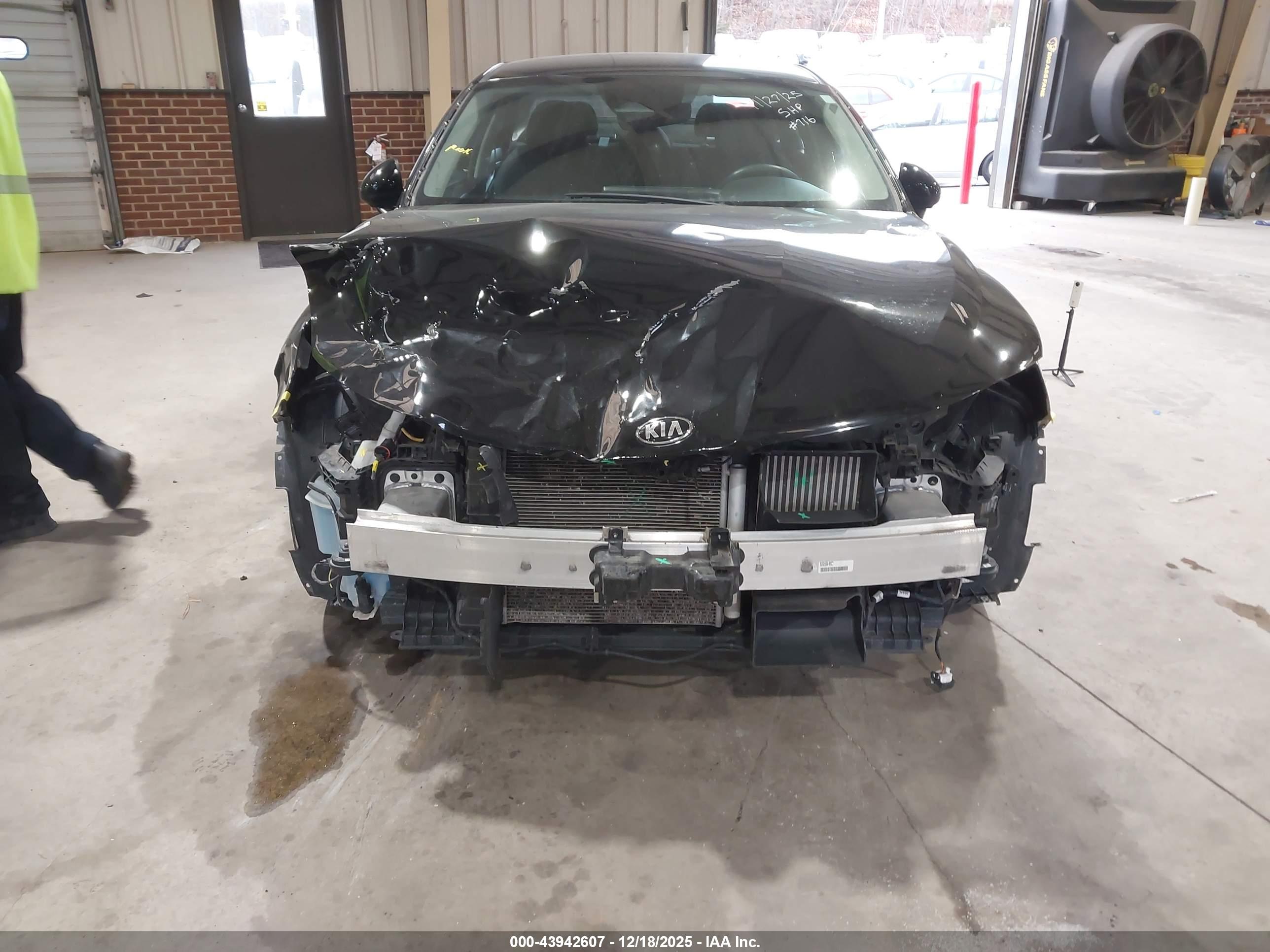 KIA K5 image 6