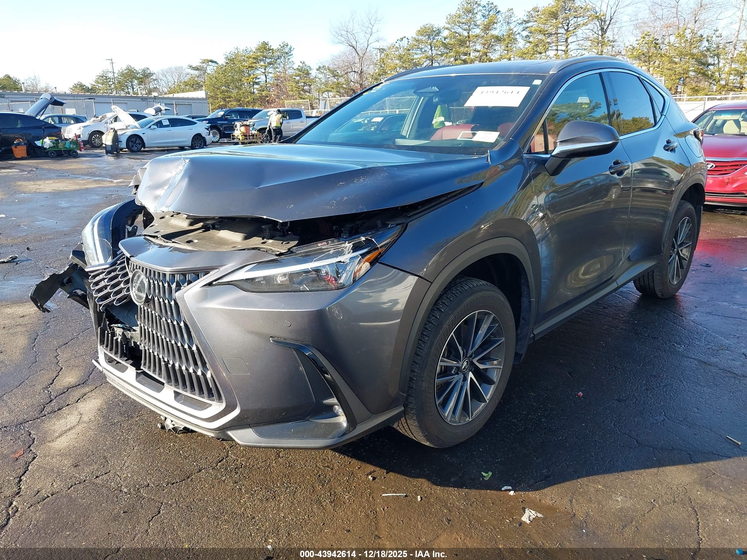 LEXUS NX image 2