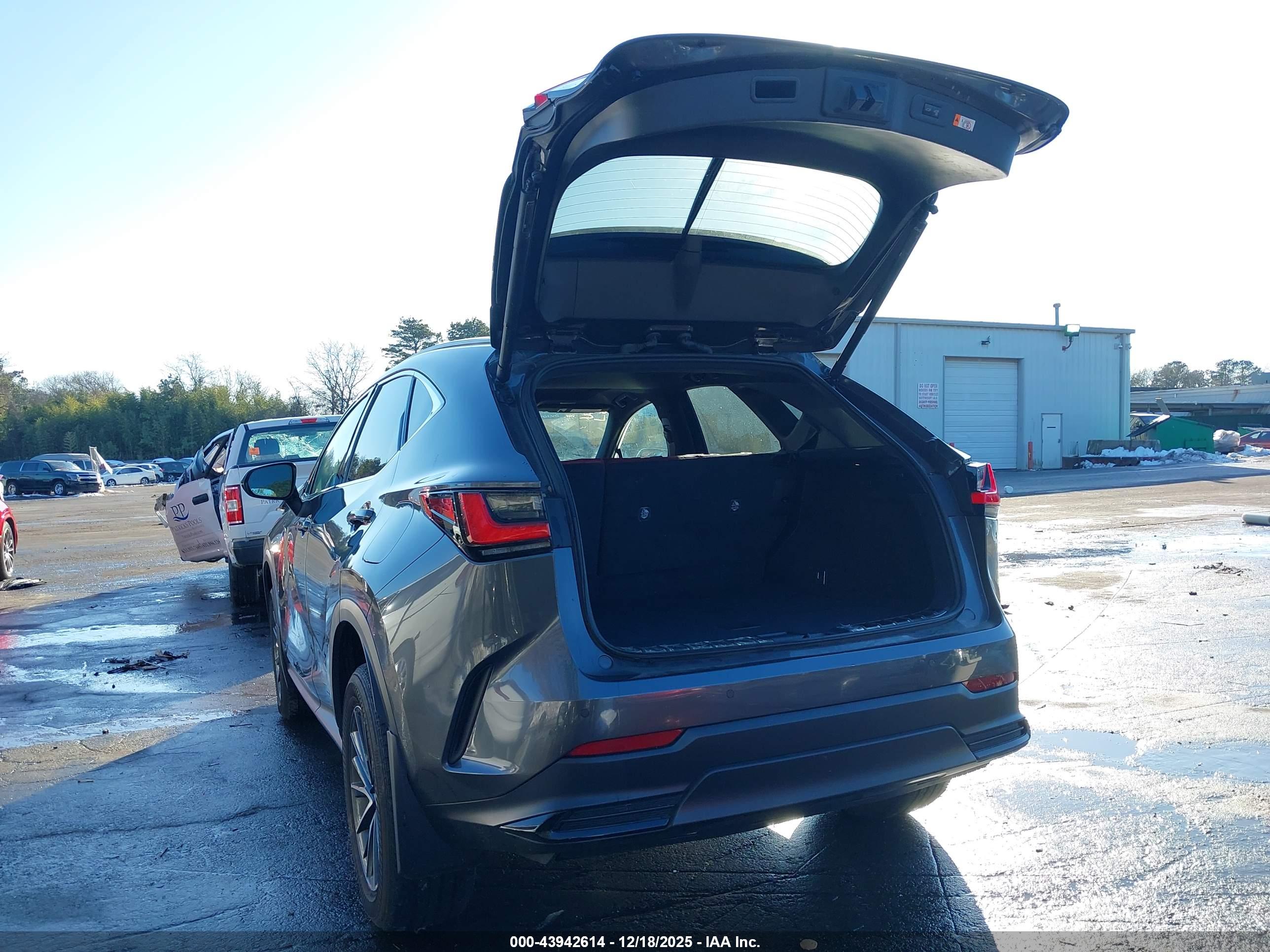 LEXUS NX image 3