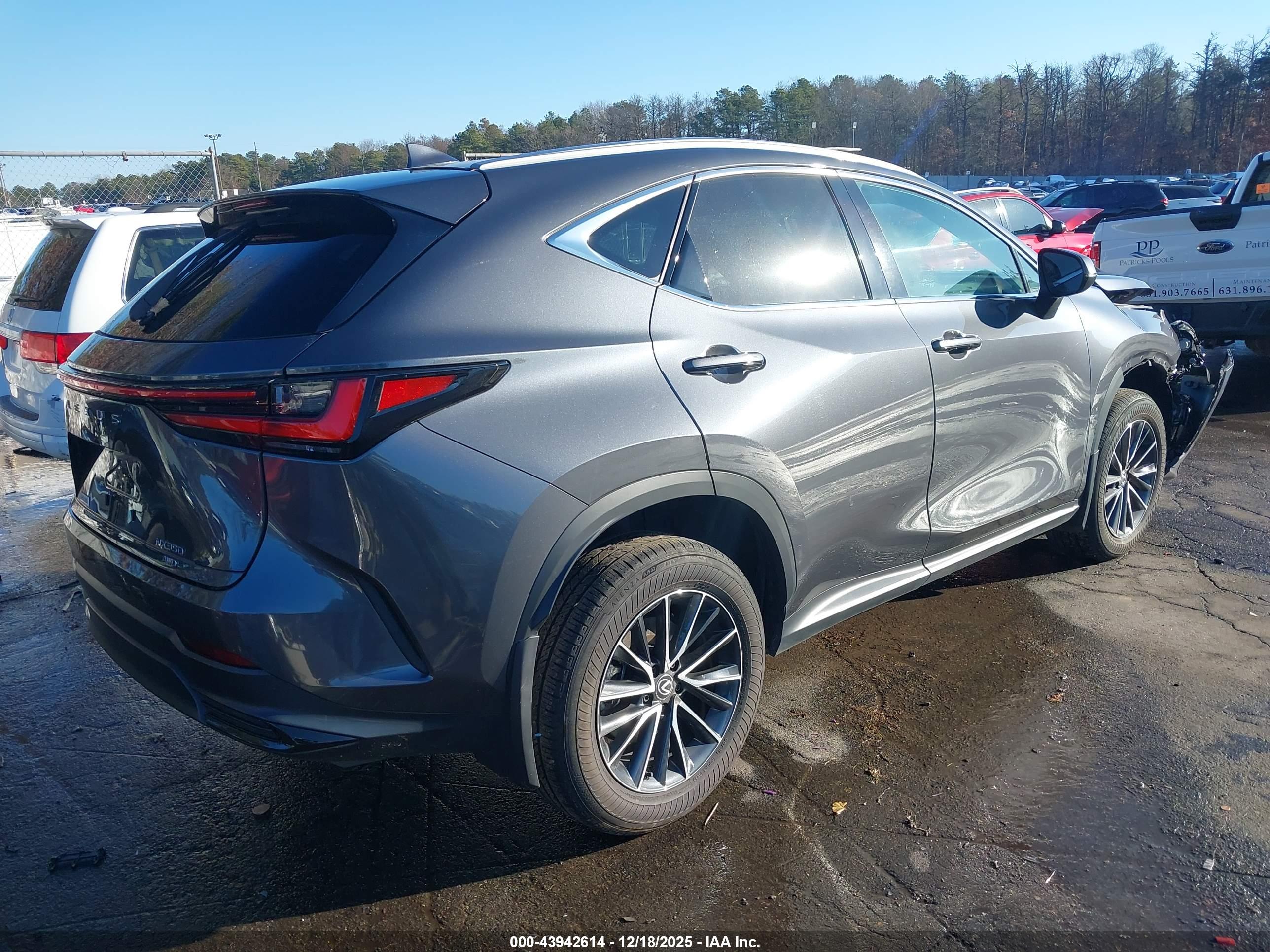 LEXUS NX image 4