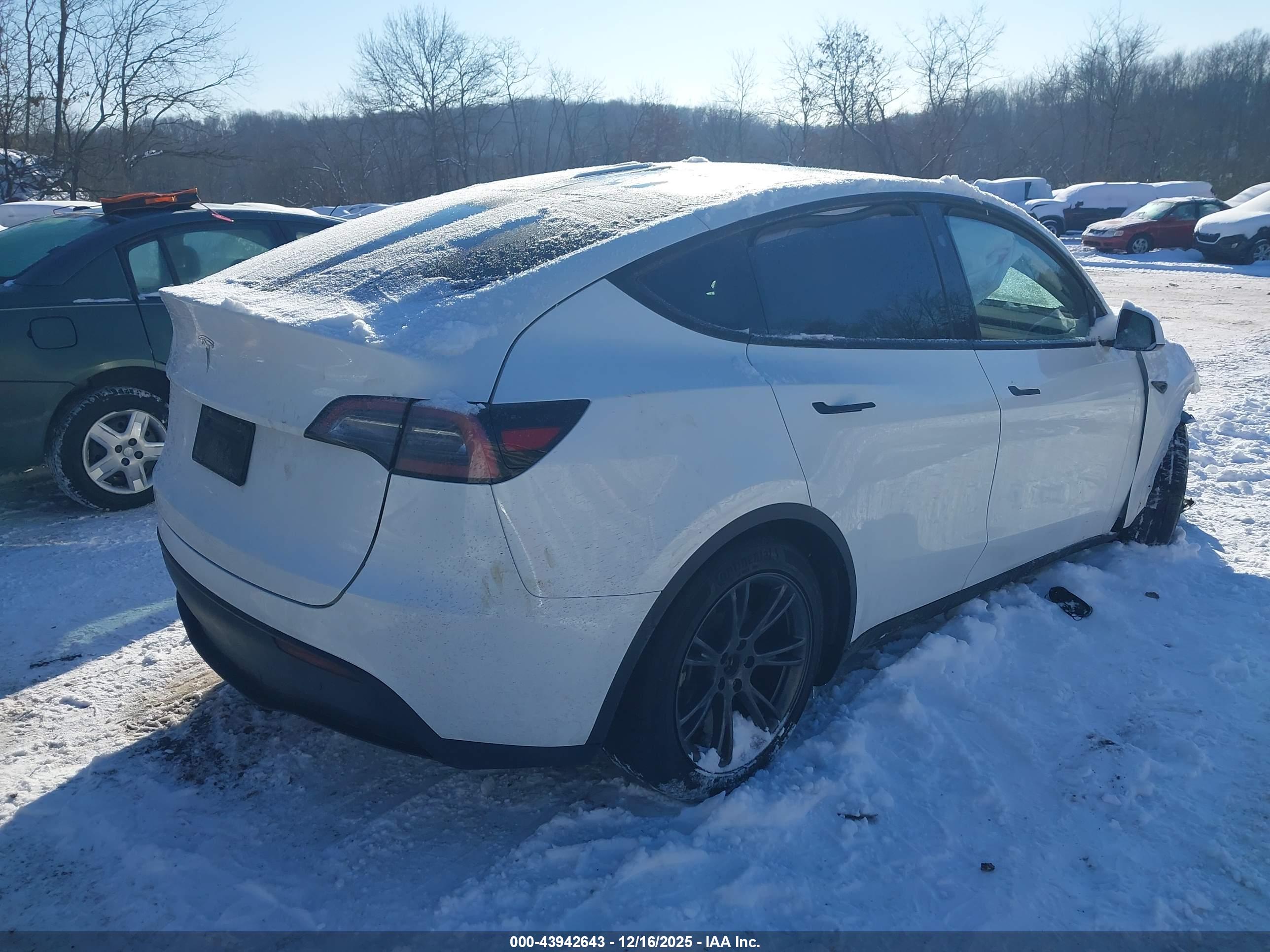 TESLA MODEL image 4