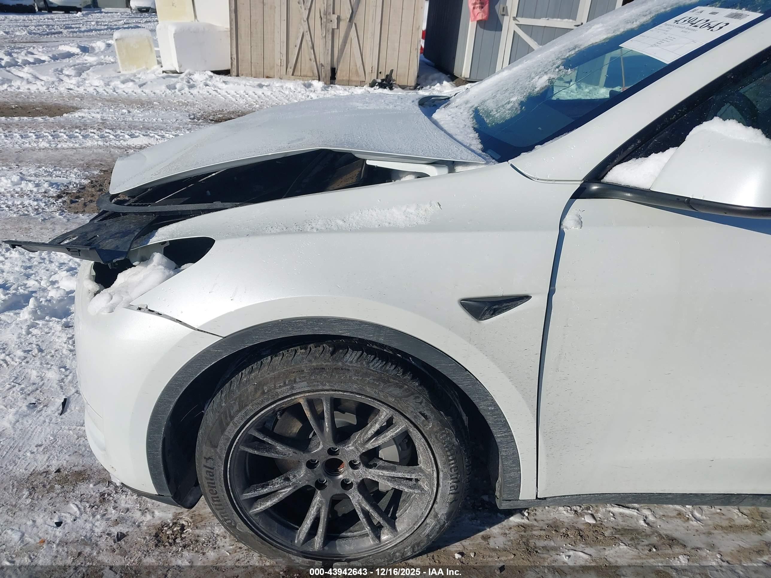 TESLA MODEL image 6