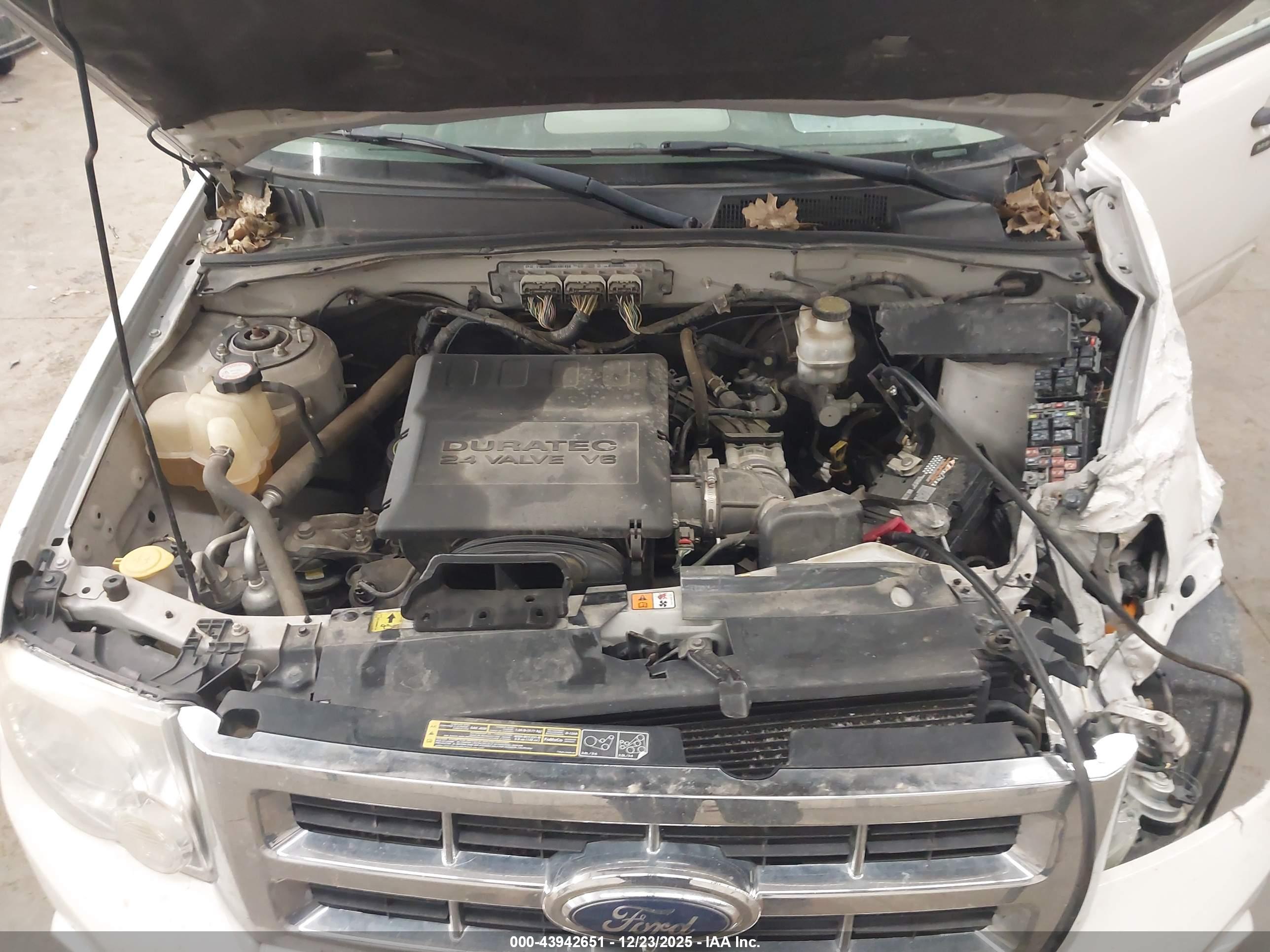 FORD ESCAPE image 10
