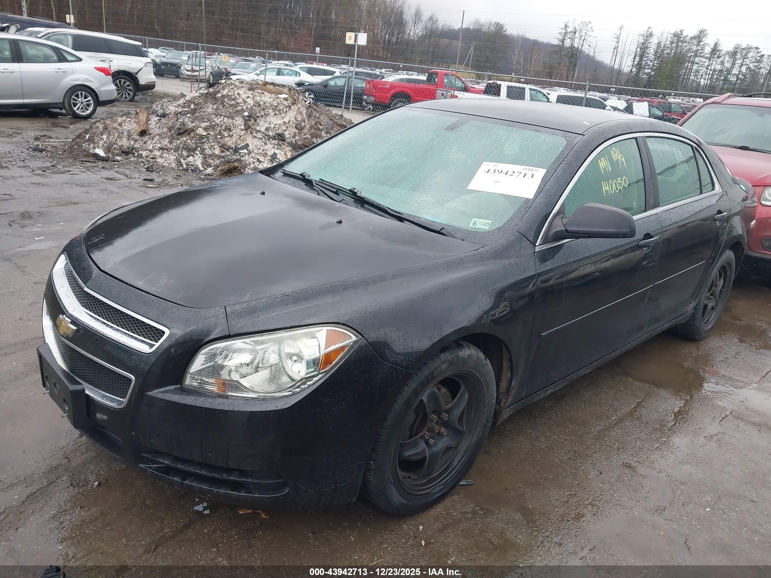 CHEVROLET MALIBU image 2