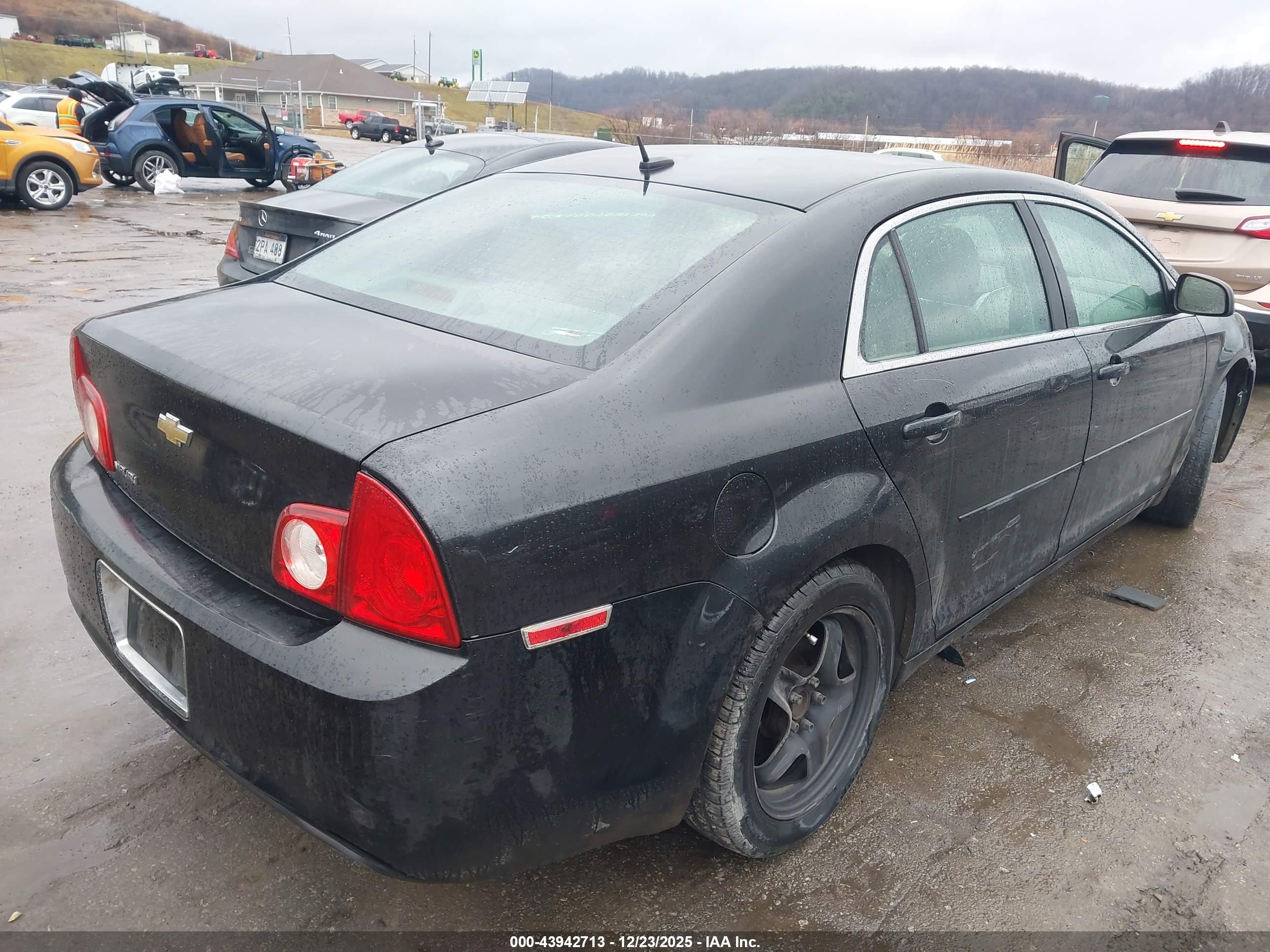 CHEVROLET MALIBU image 4