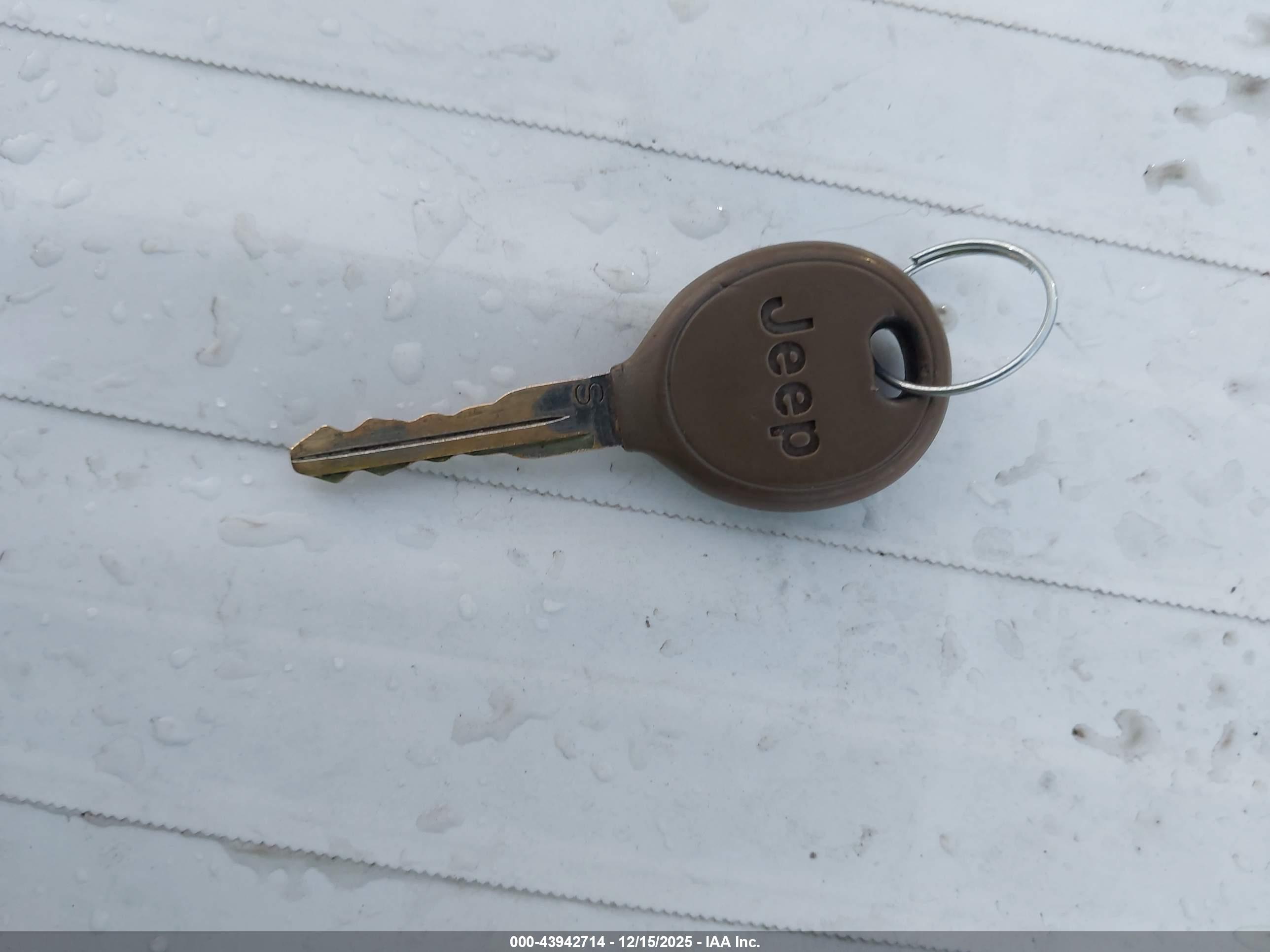 JEEP WRANGLER image 11